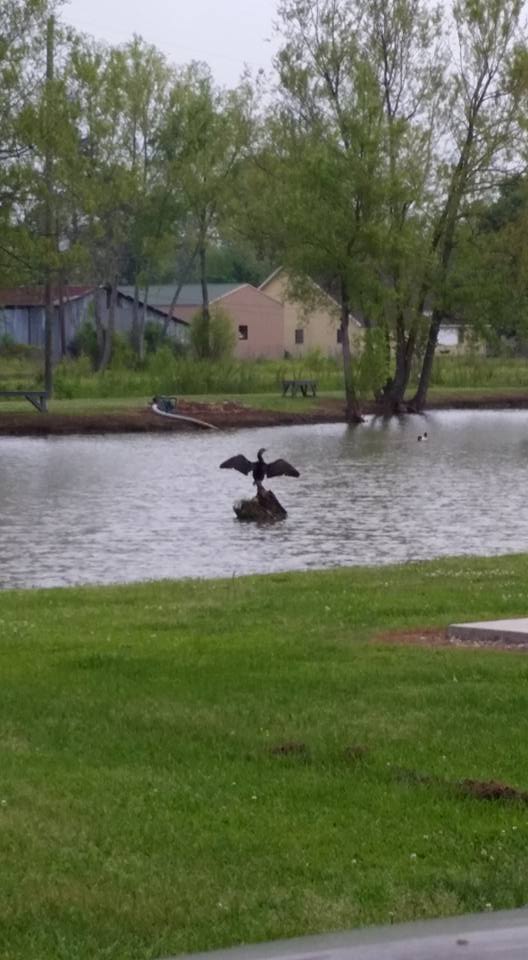 Bayou Black RV Park, Gibson, Louisiana