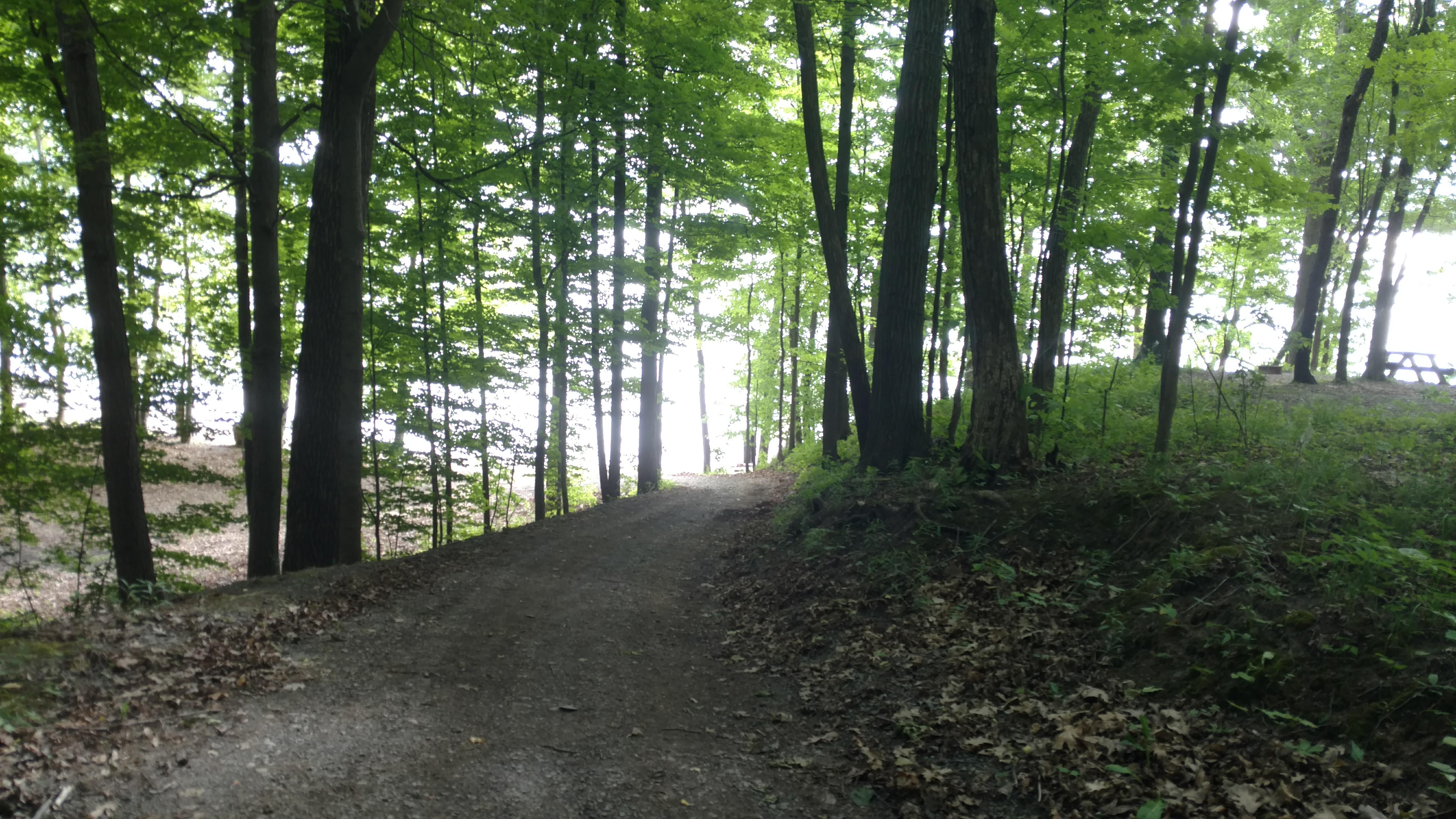 Back-Achers Campsites