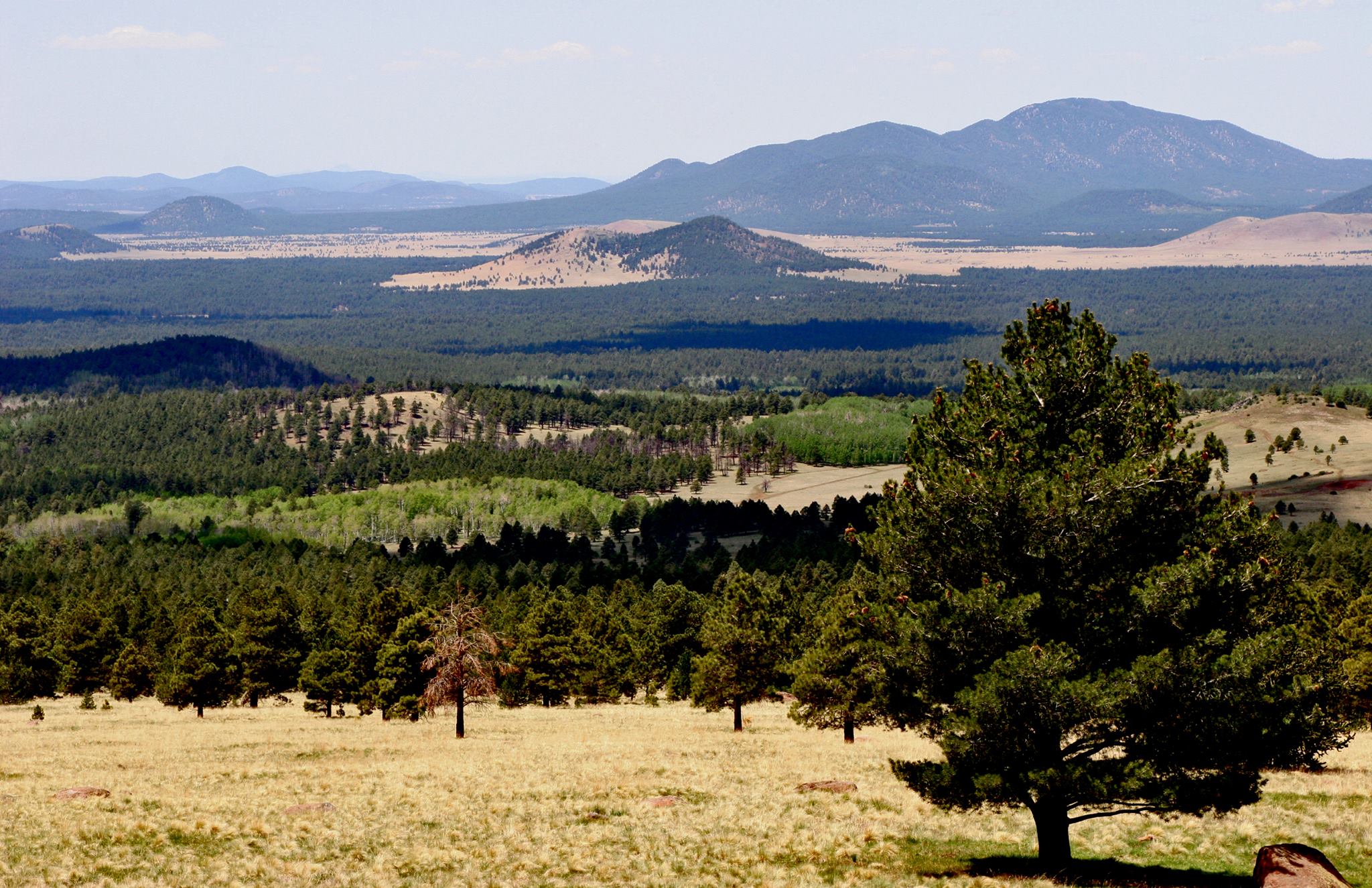 Woody Mountain Campground, Flagstaff, Arizona