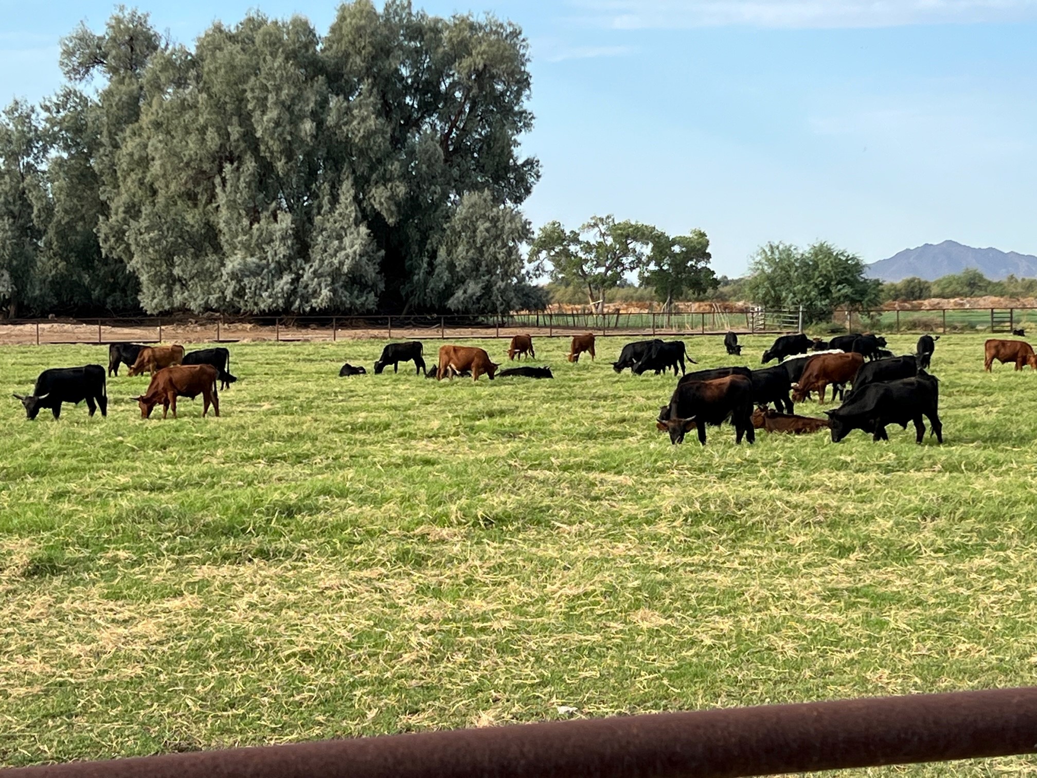 Buckeye Equestrian & Event Center, Buckeye, Arizona