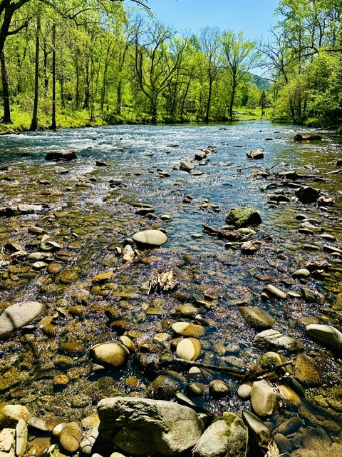 Uncle Jim's River Cove Campground, Sevierville, Tennessee
