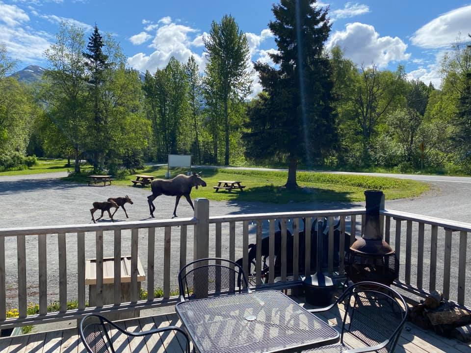 Creekbend Cafe & Acres