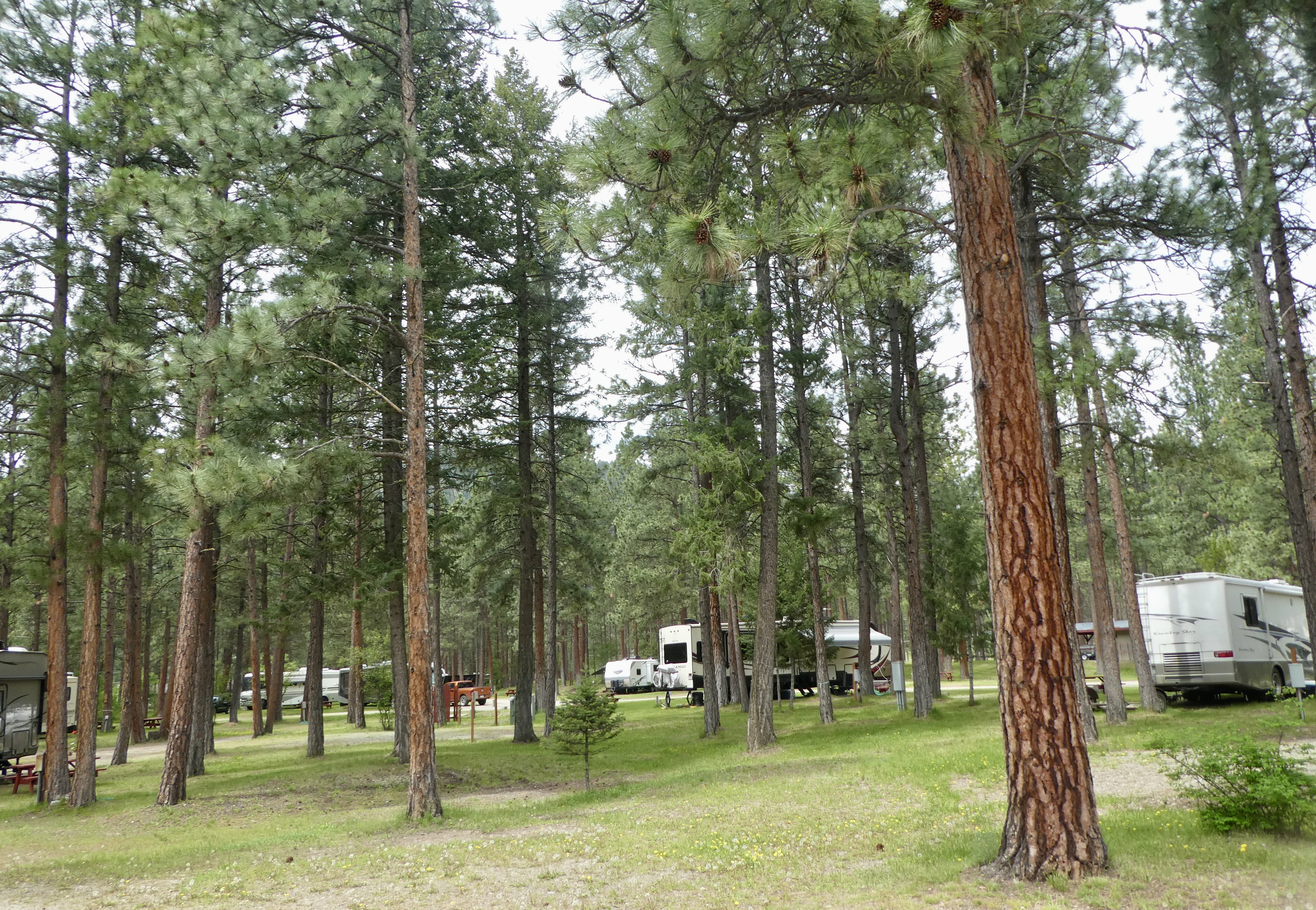 Yellowrock Campground, Lolo, Montana