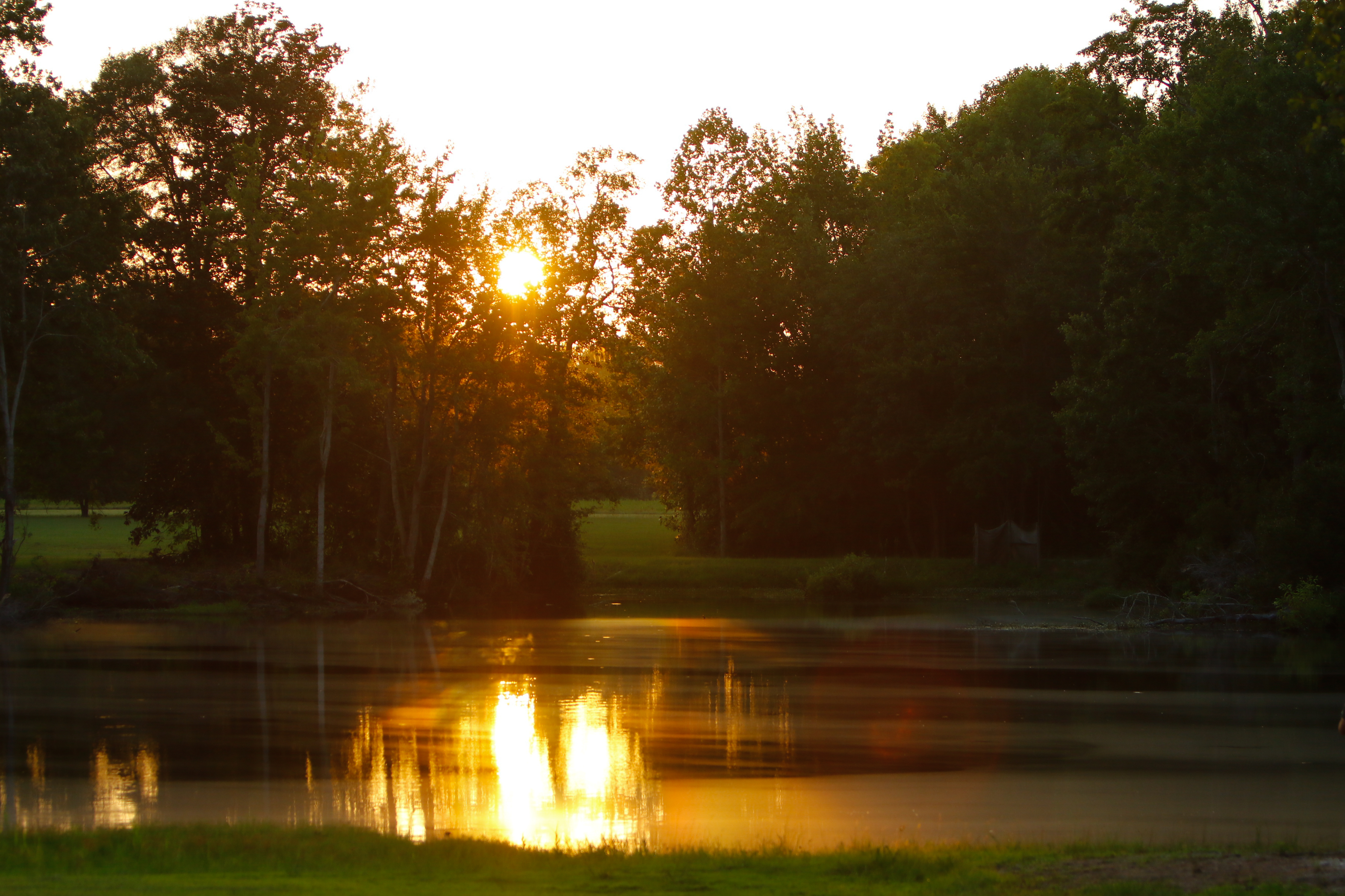 Broxton Bridge Campgrounds, Ehrhardt, South Carolina