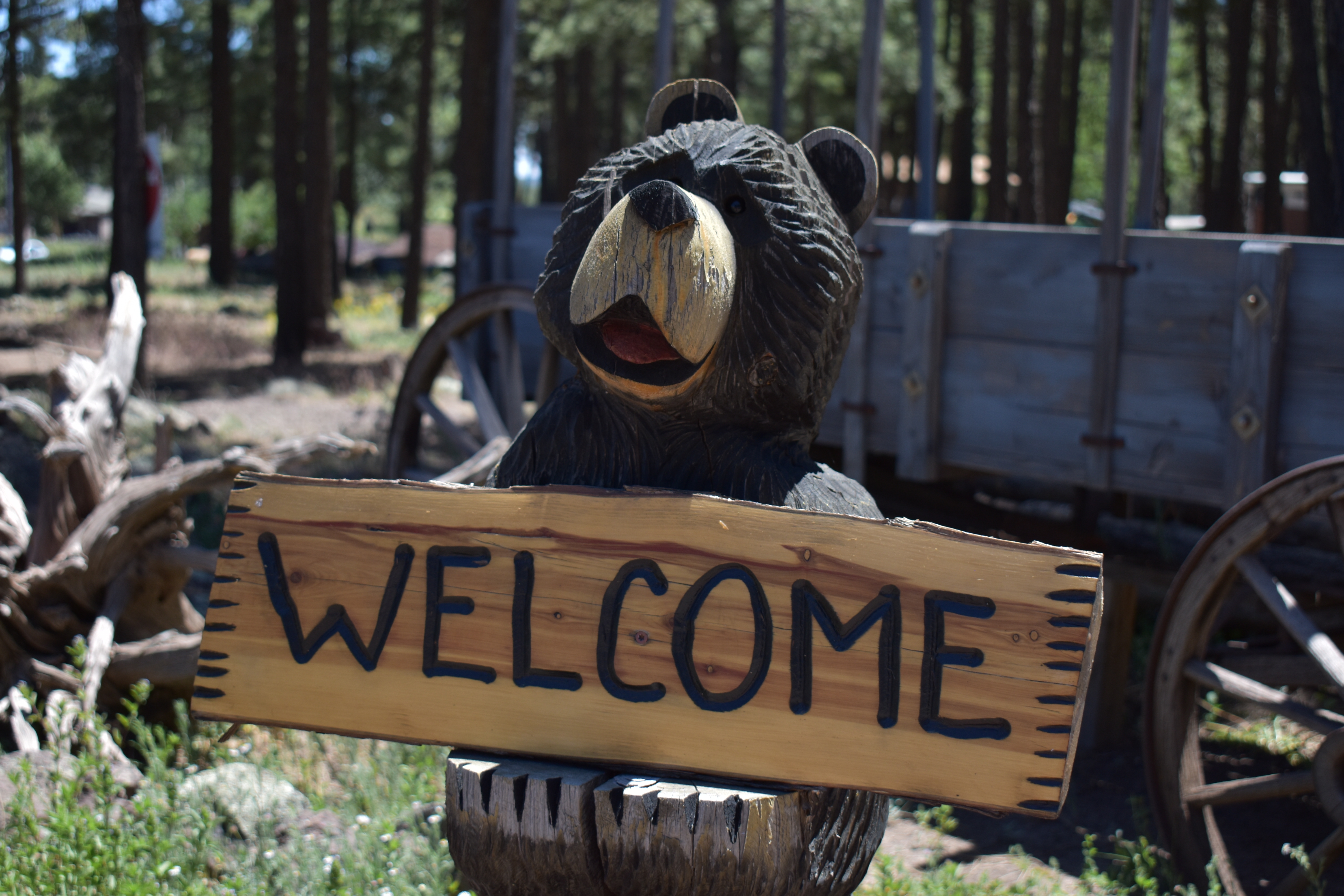 Woody Mountain Campground, Flagstaff, Arizona