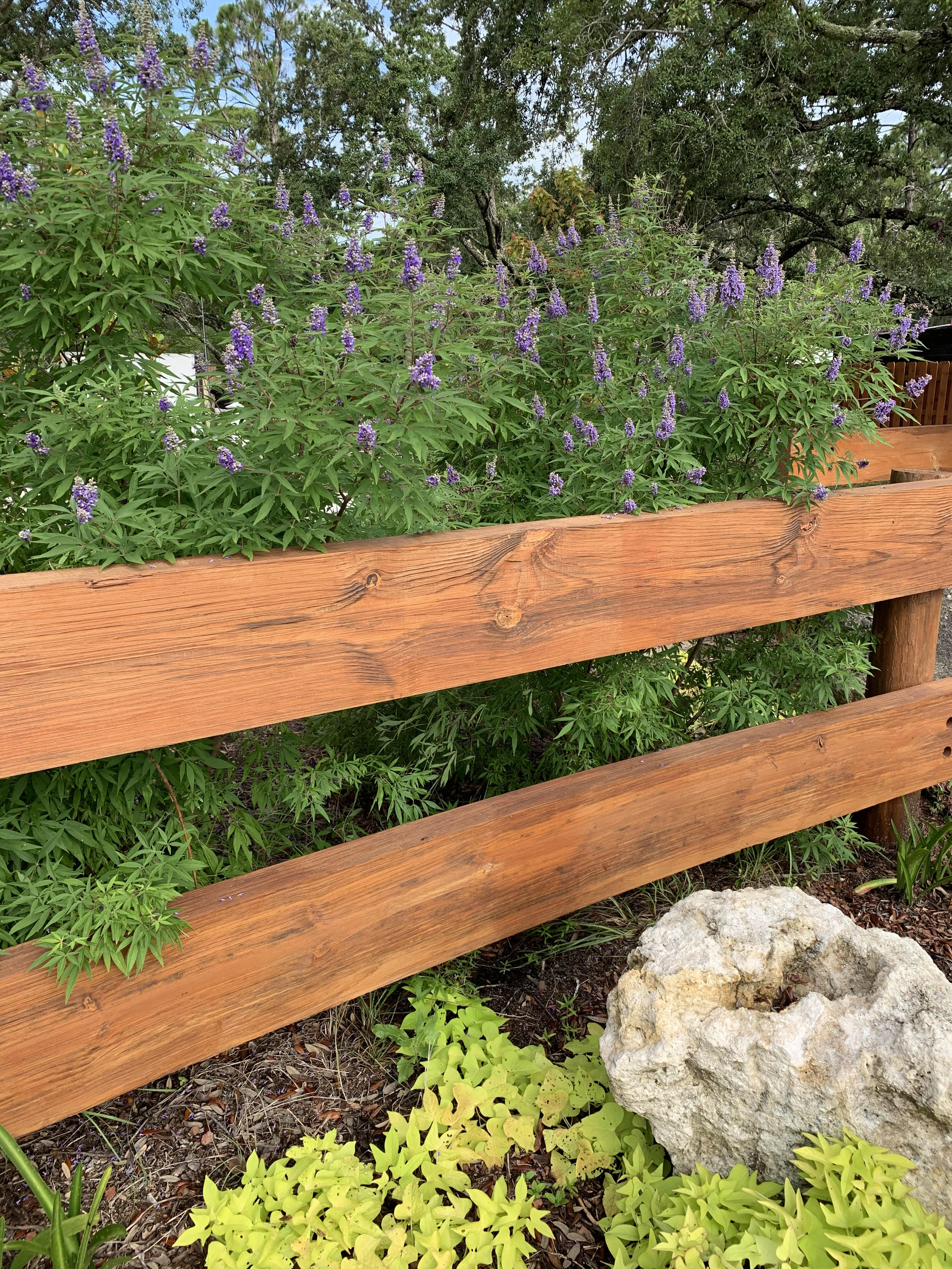 The Oaks RV Resort and Motel