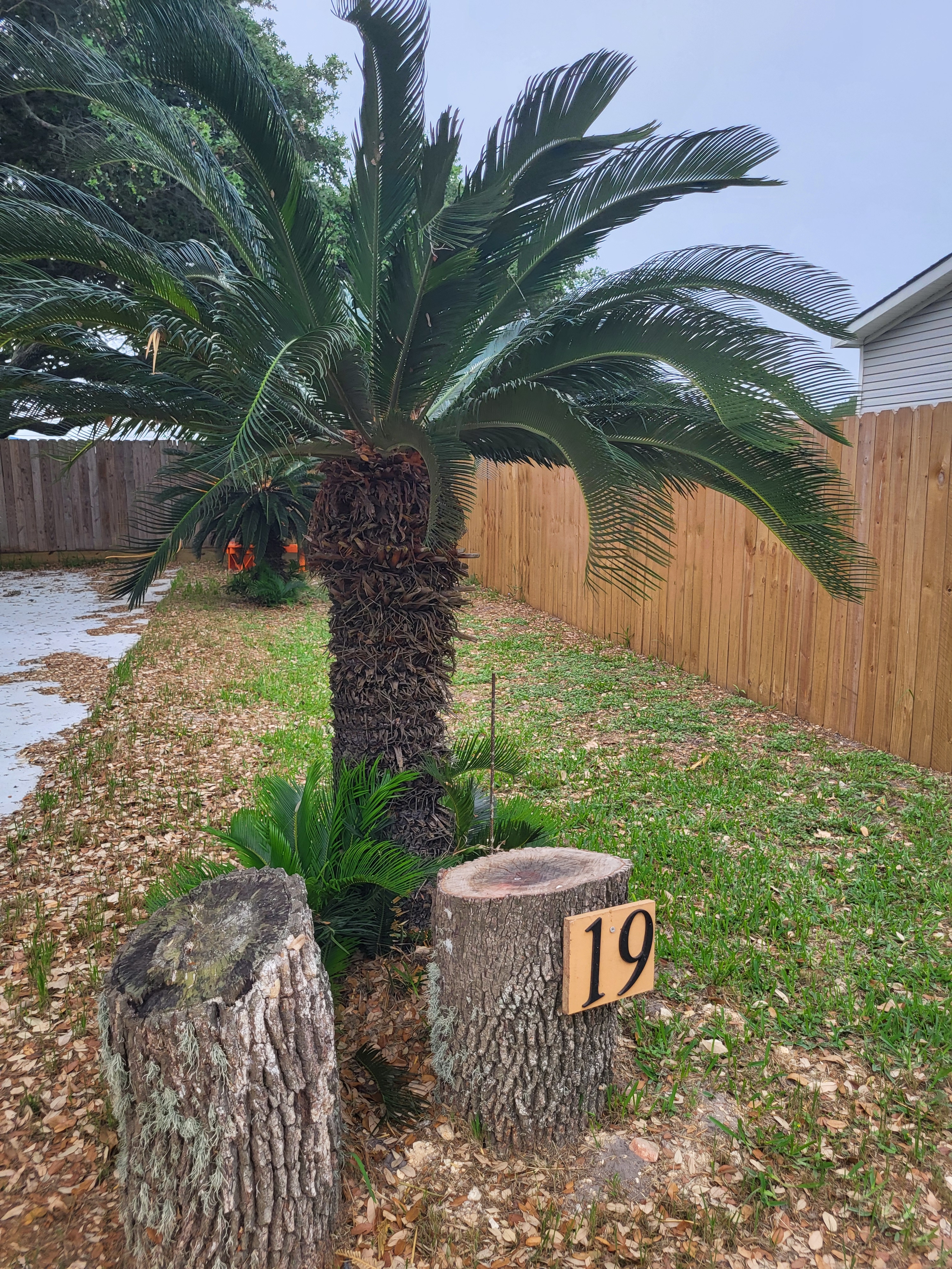 Coastal Cowboy RV Park Fulton, Rockport, Texas