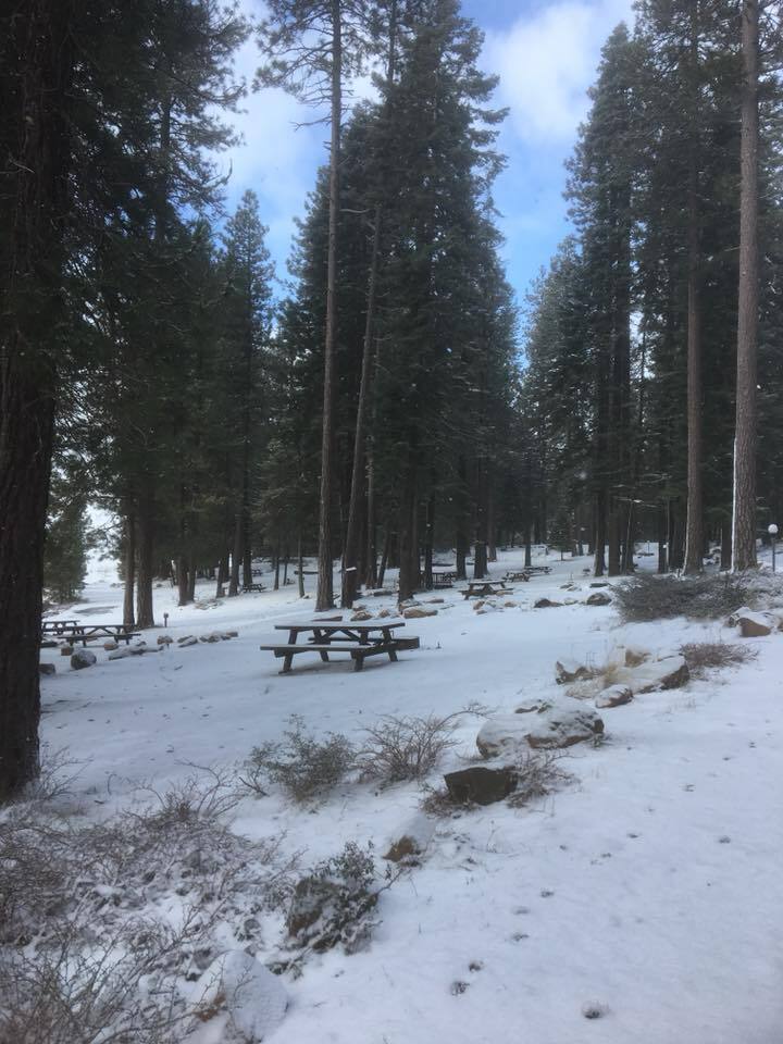 North Shore Campground