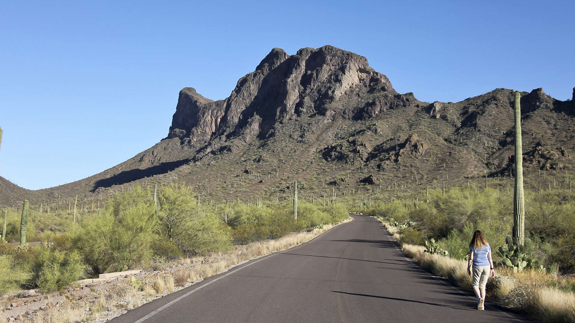 Spanish Trails West, Casa Grande, Arizona (Age Restricted 55+)