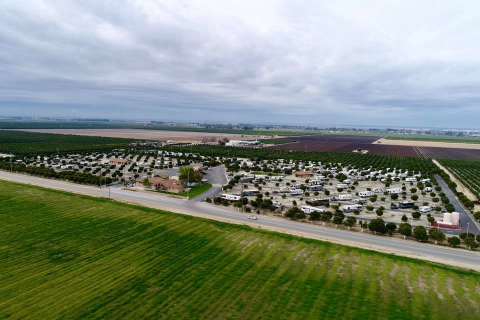 Orange Grove RV Resort (Age Restricted 55+)