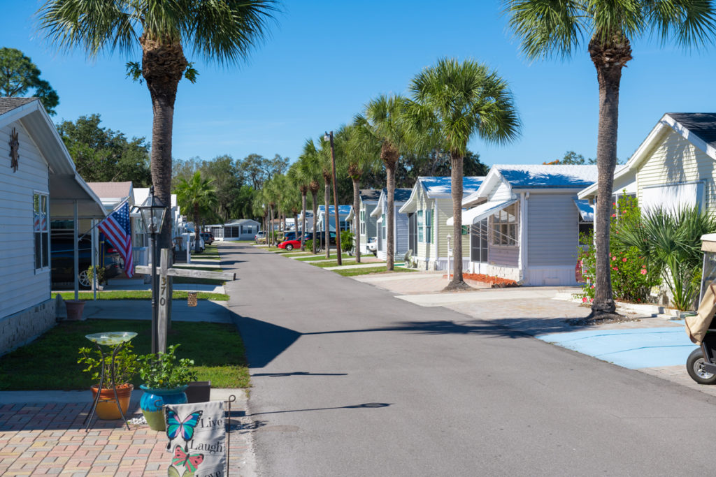 Big Tree (Age Restricted 55+)