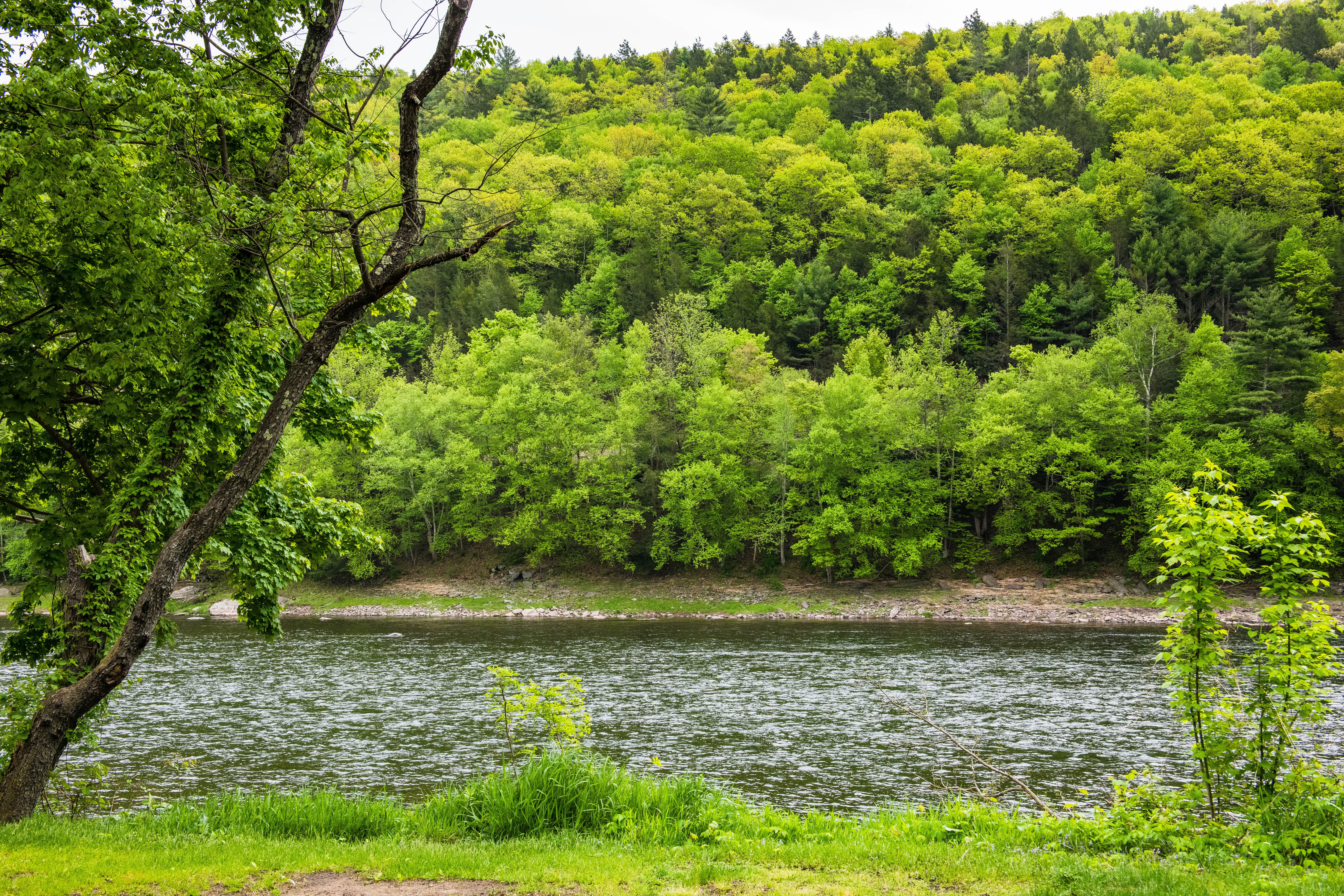 Kittatinny's K-Camp Campground