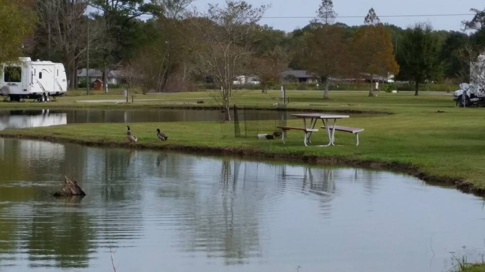Bayou Black RV Park, Gibson, Louisiana