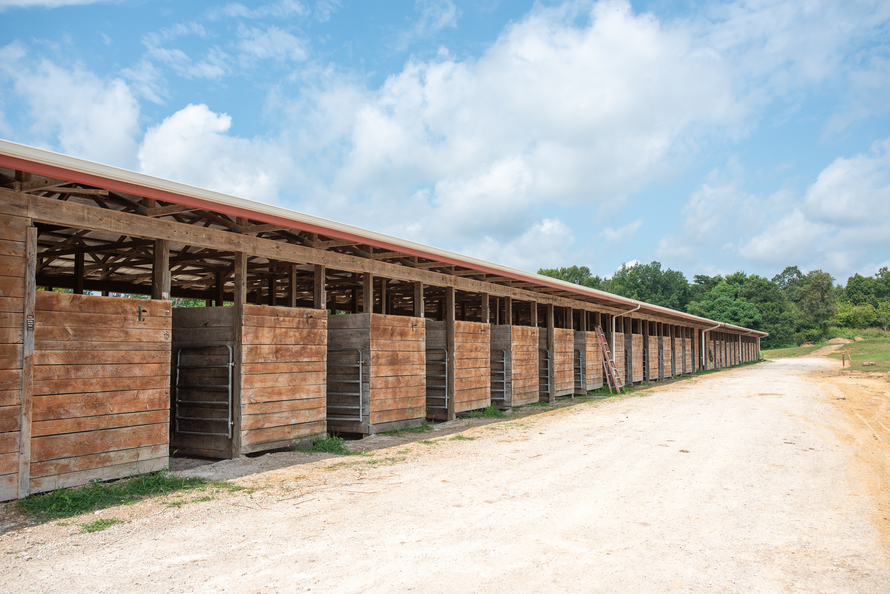 Mammoth Cave Horse Camp