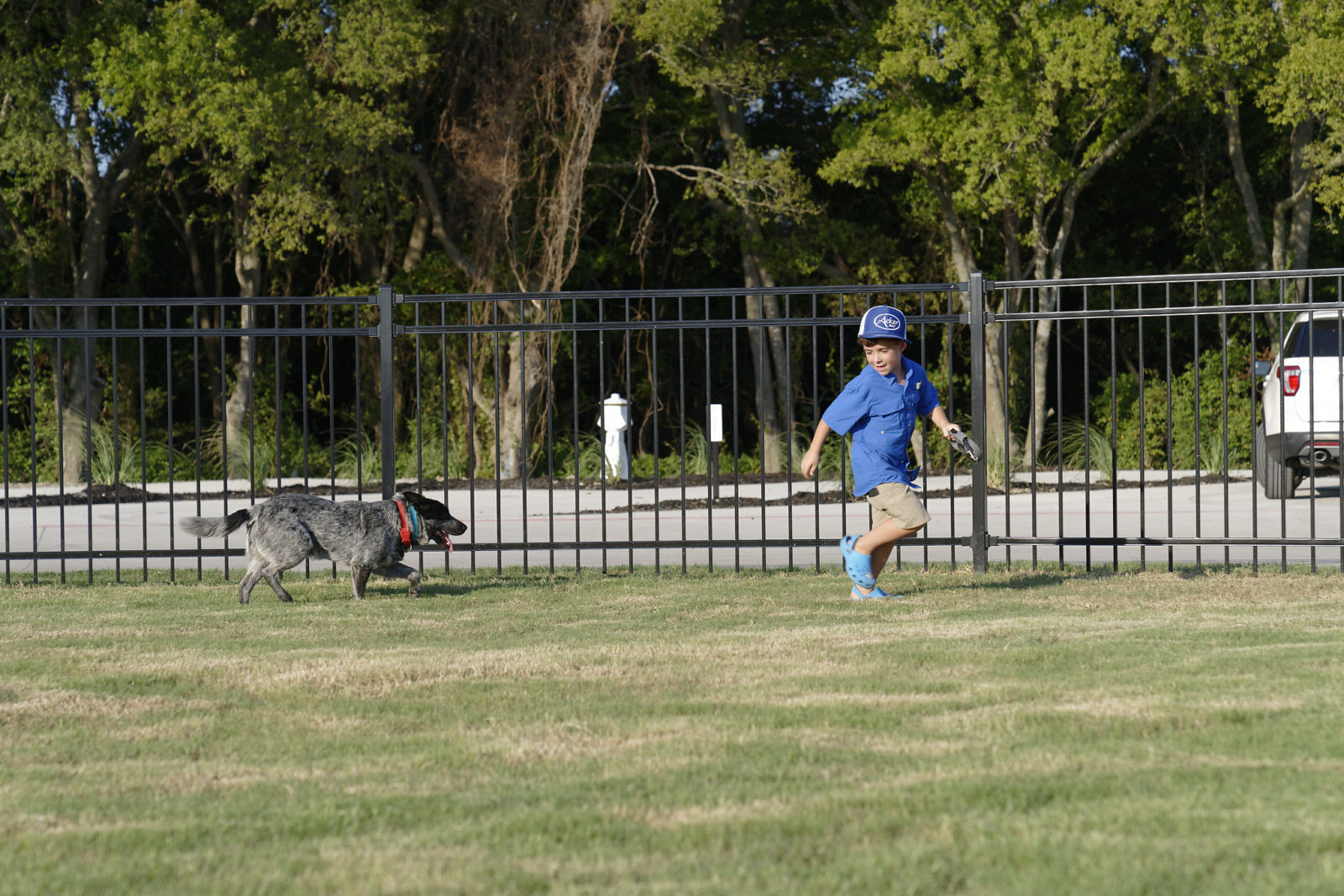 The Palms at Lake Whitney RV Resort and Storage