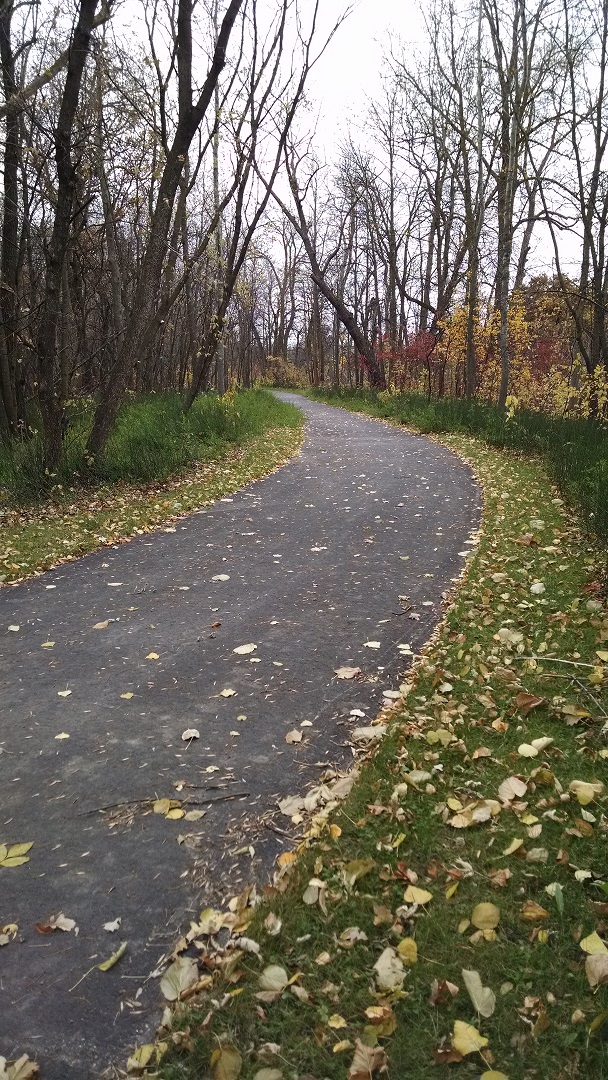 Roseau City Park Campground