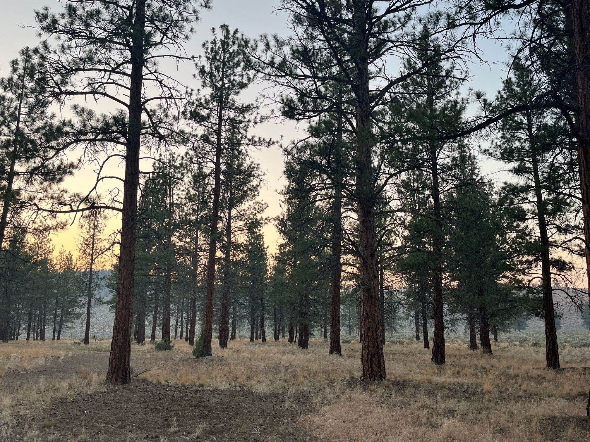 Coyote Ridge Campground, Fort Rock, Oregon