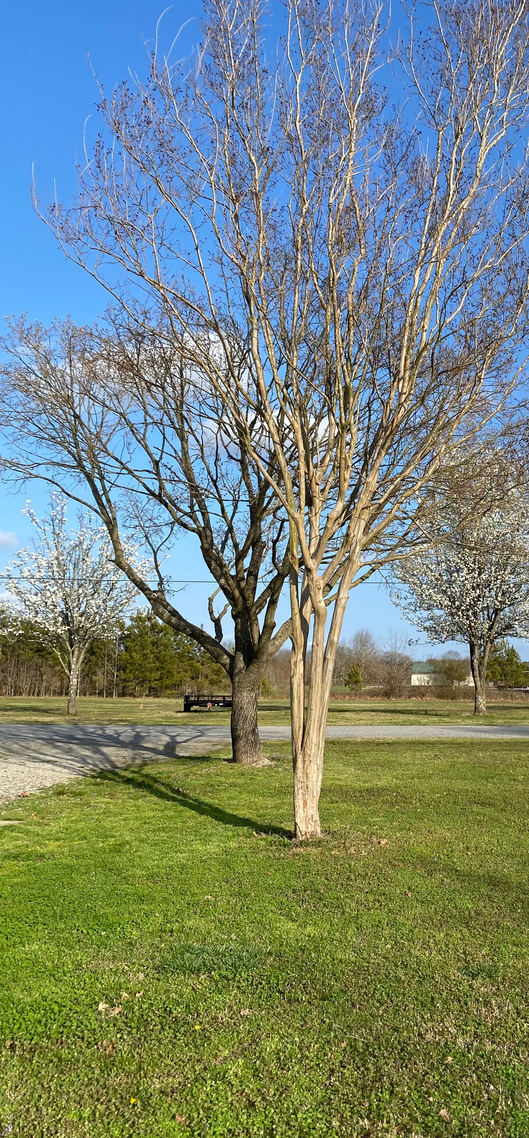 Searcy RV Resort, Kensett, Arkansas