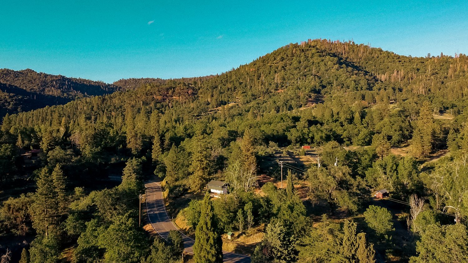 Sequoia Mountain Farms, Miramonte, California