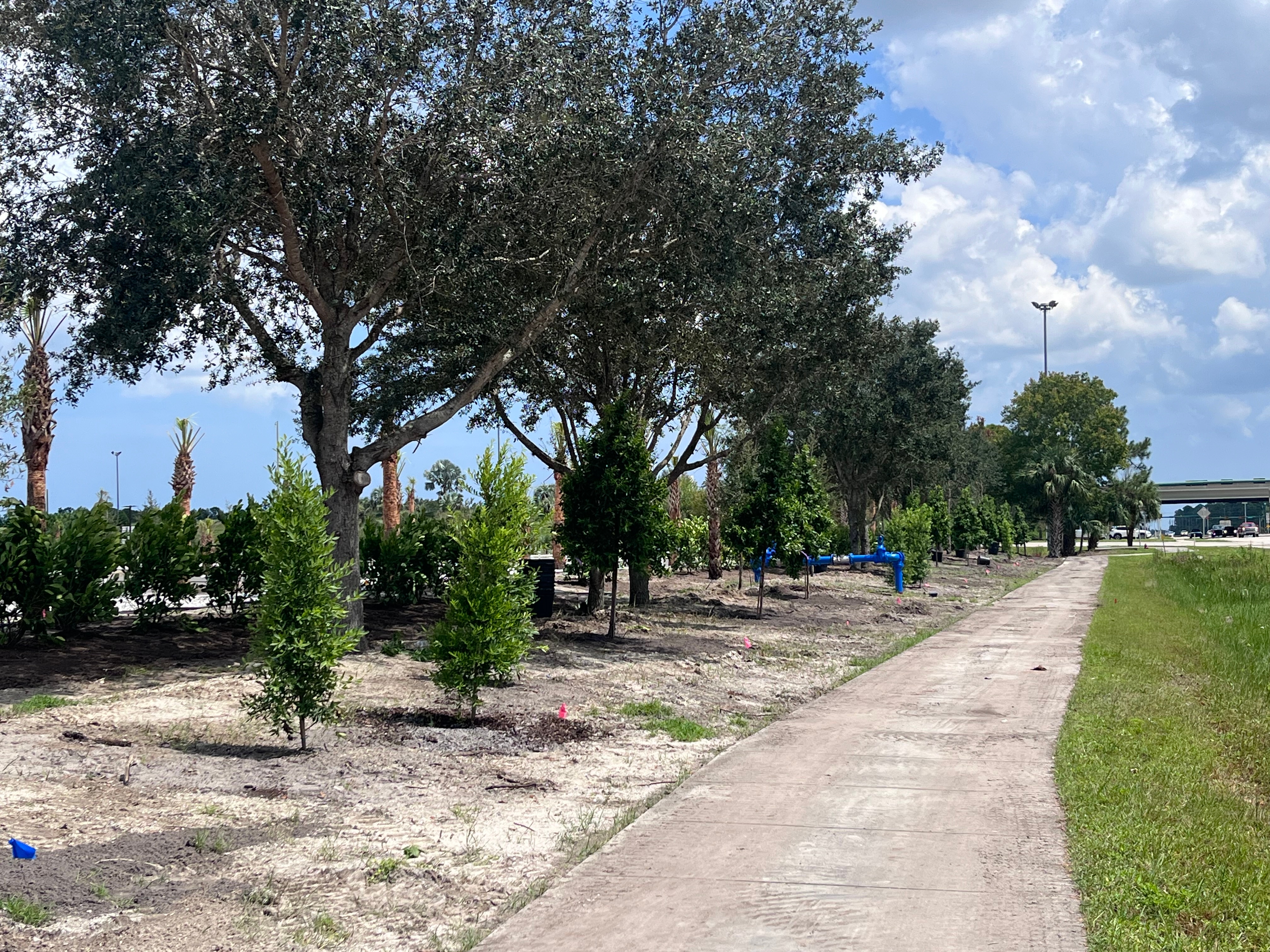 Buffer Preserve RV Park, Fellsmere, Florida