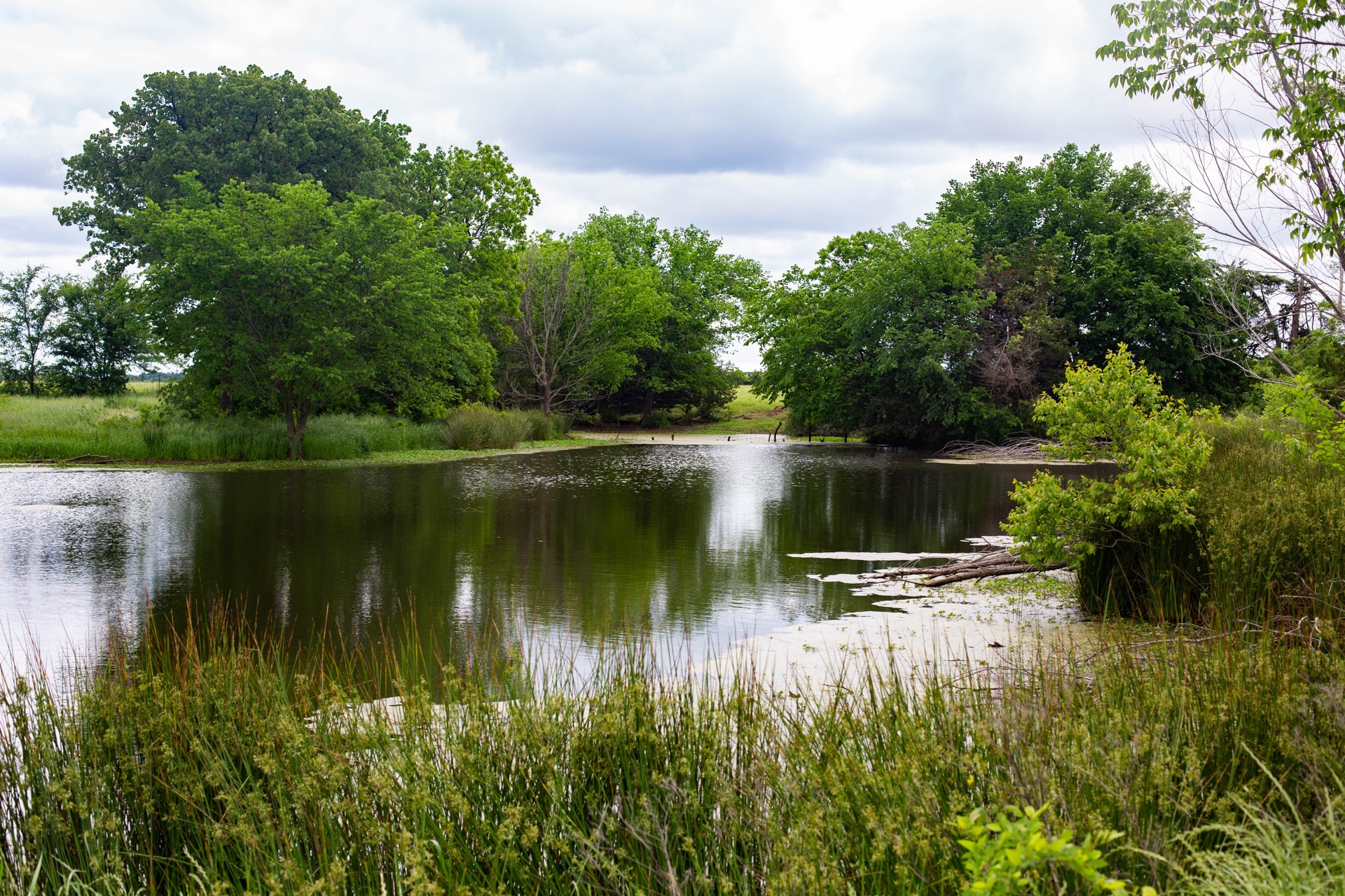 Queen and Duke RV Resort, Whitesboro, Texas