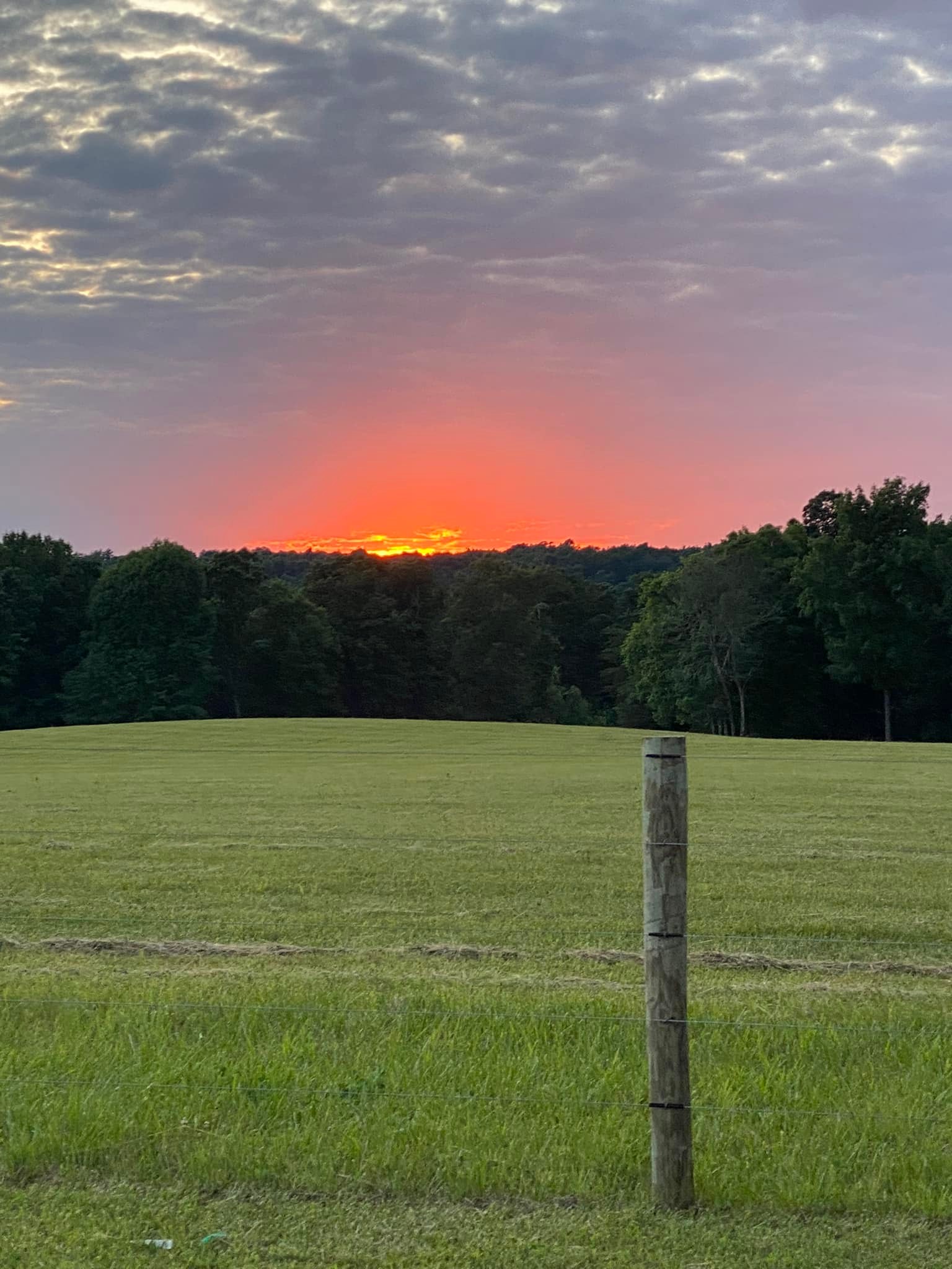 Noble Pine Cabins & Horse Camp