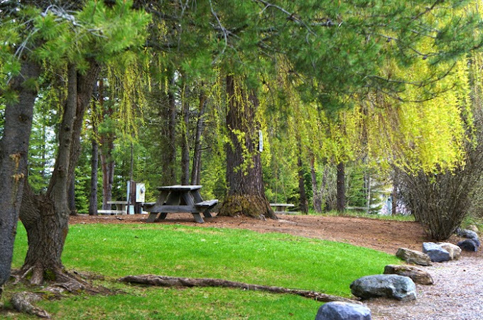 Whitefish RV Park