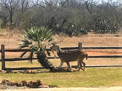 Safari Vista RV Park