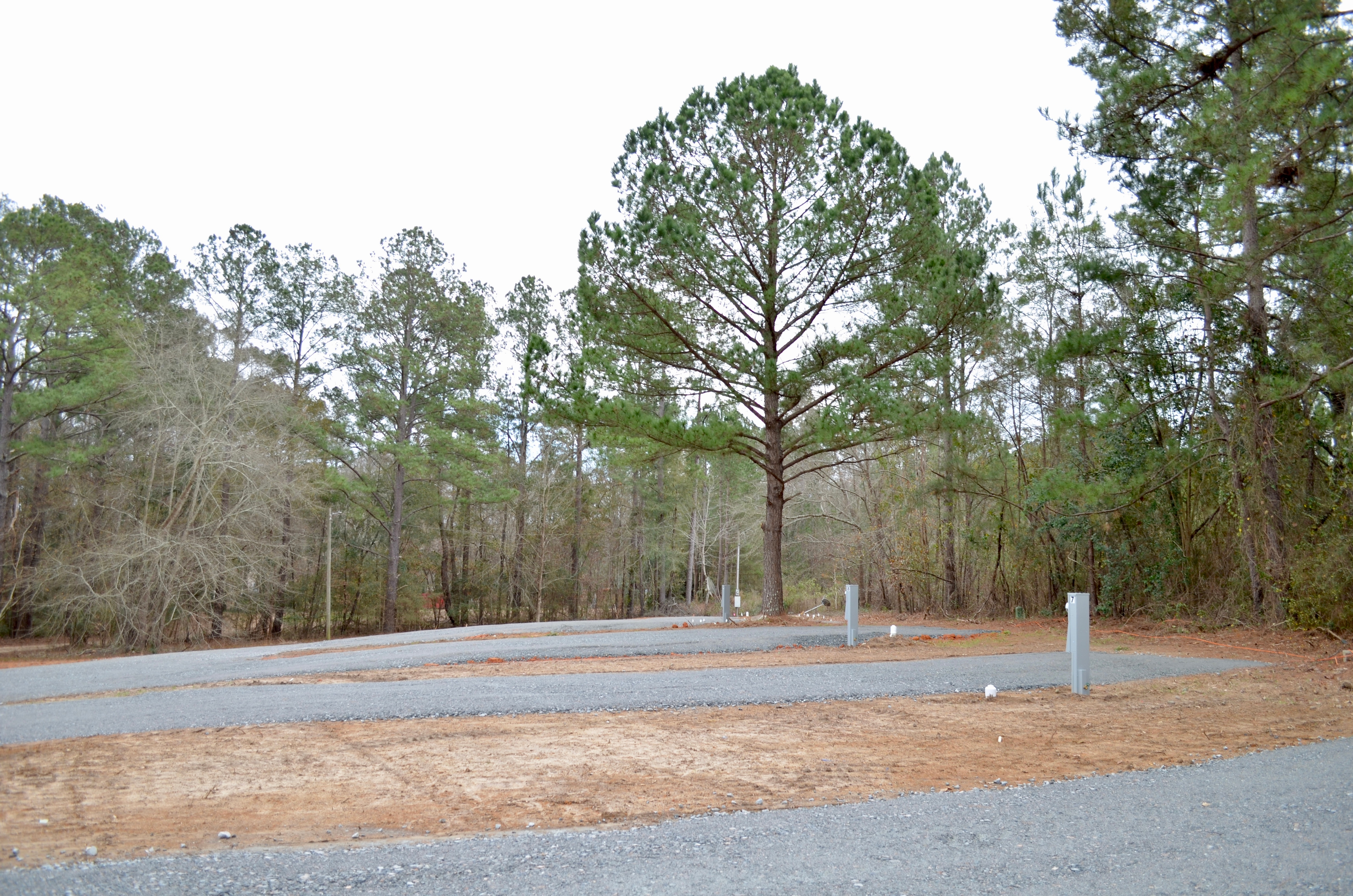 Starlit Hollow, Dublin, Georgia