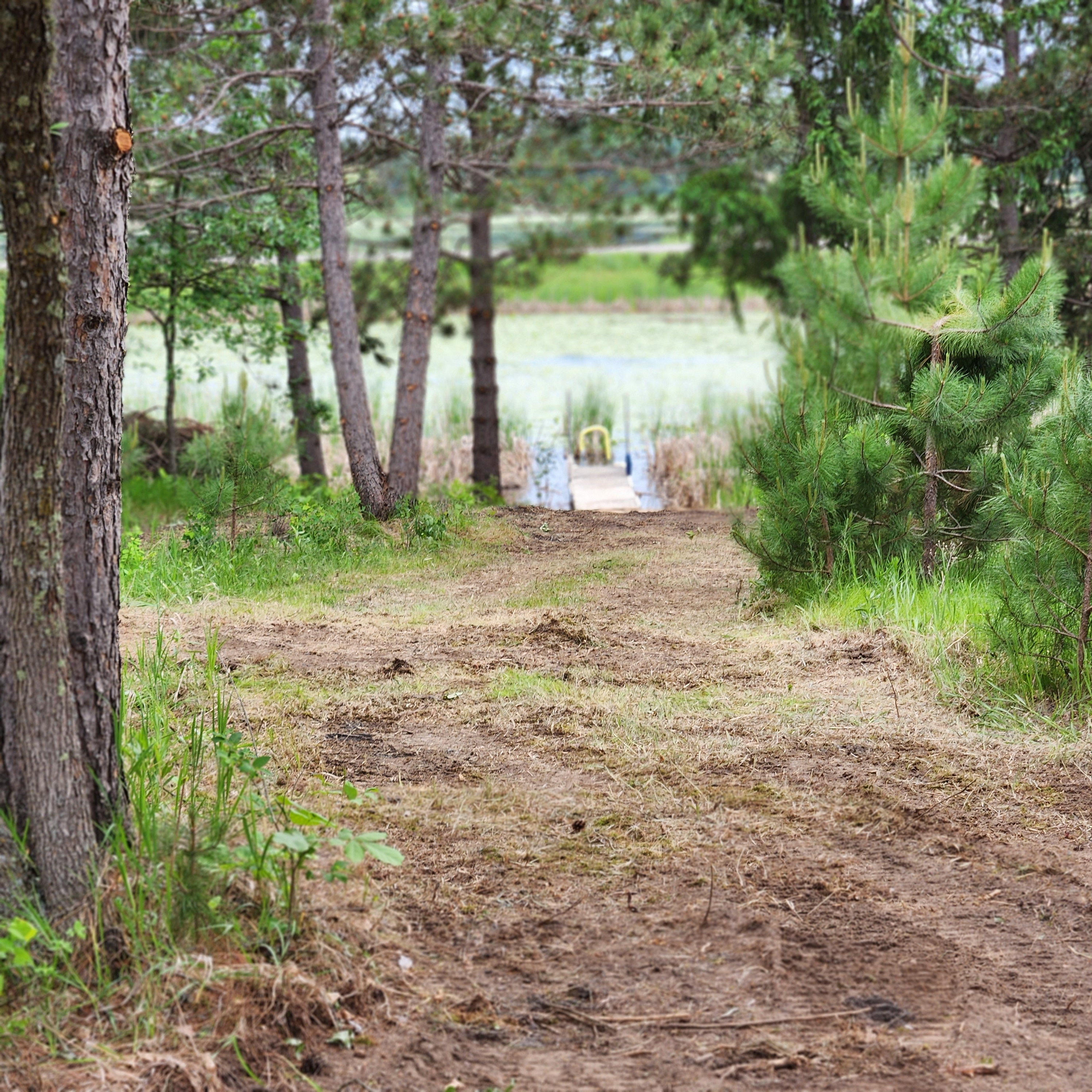 Daisy Lake RV Campground, Nevis, Minnesota