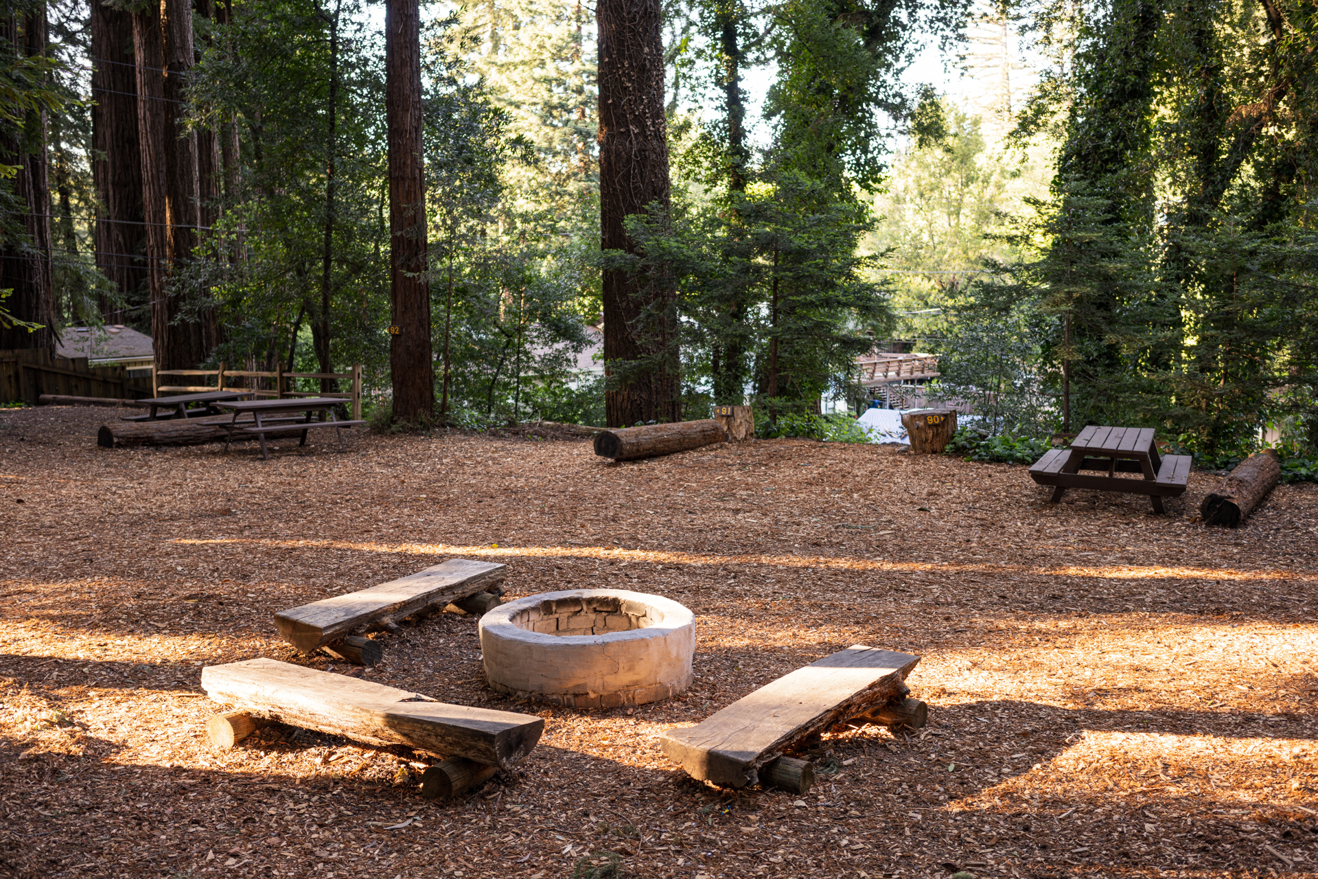 Santa Cruz Redwoods RV Resort, Felton, California