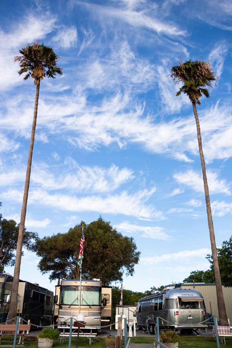 Delta Marina Yacht Harbor