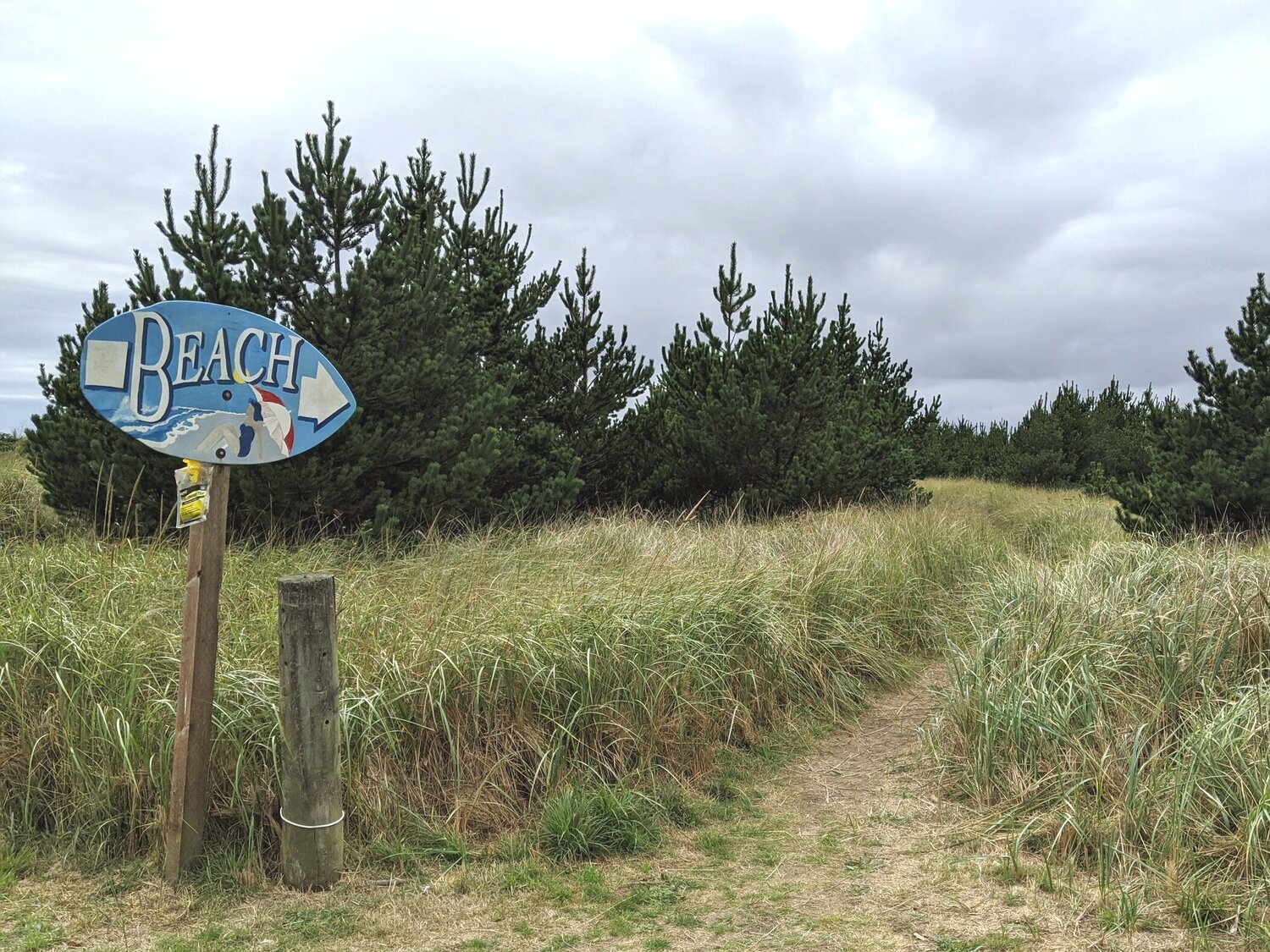 Cedar to Surf Campground