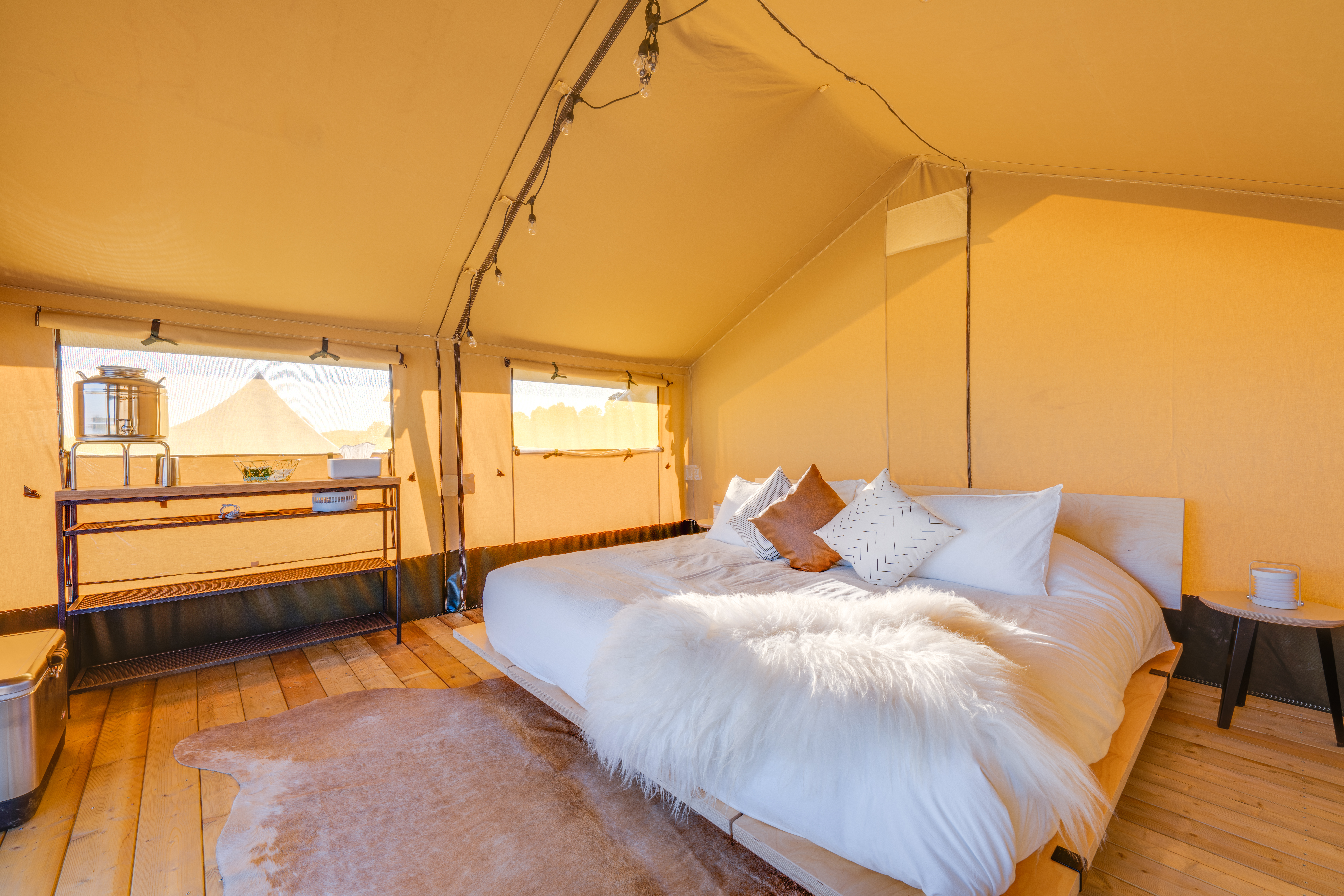 KitFox, Lamy, New Mexico