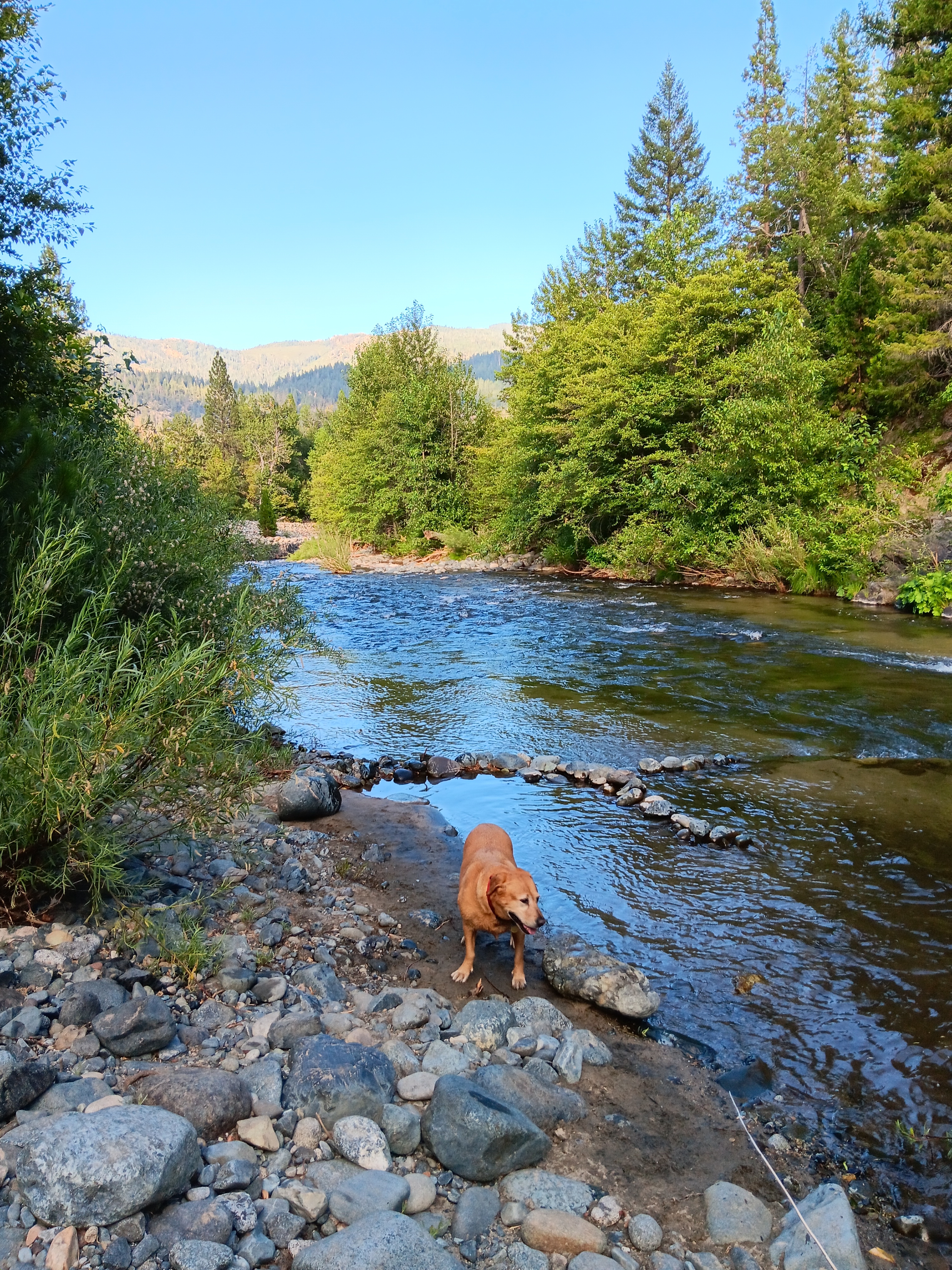 Coffee Creek Campground & R.V. Park, Trinity Center, California