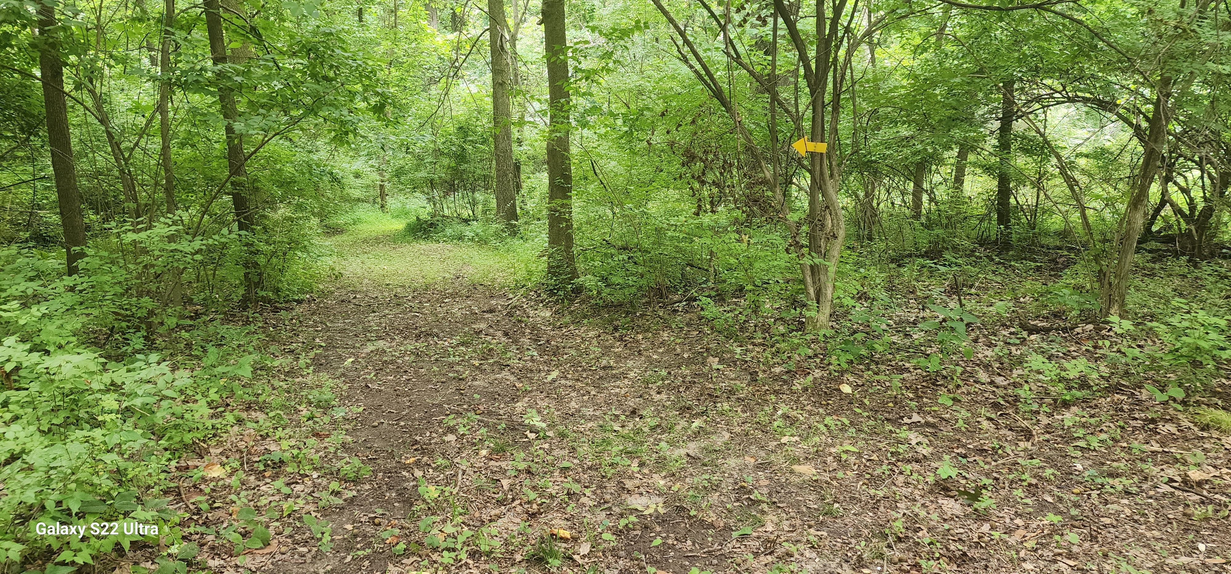 Mustang Sally's Park, South Bend, Indiana