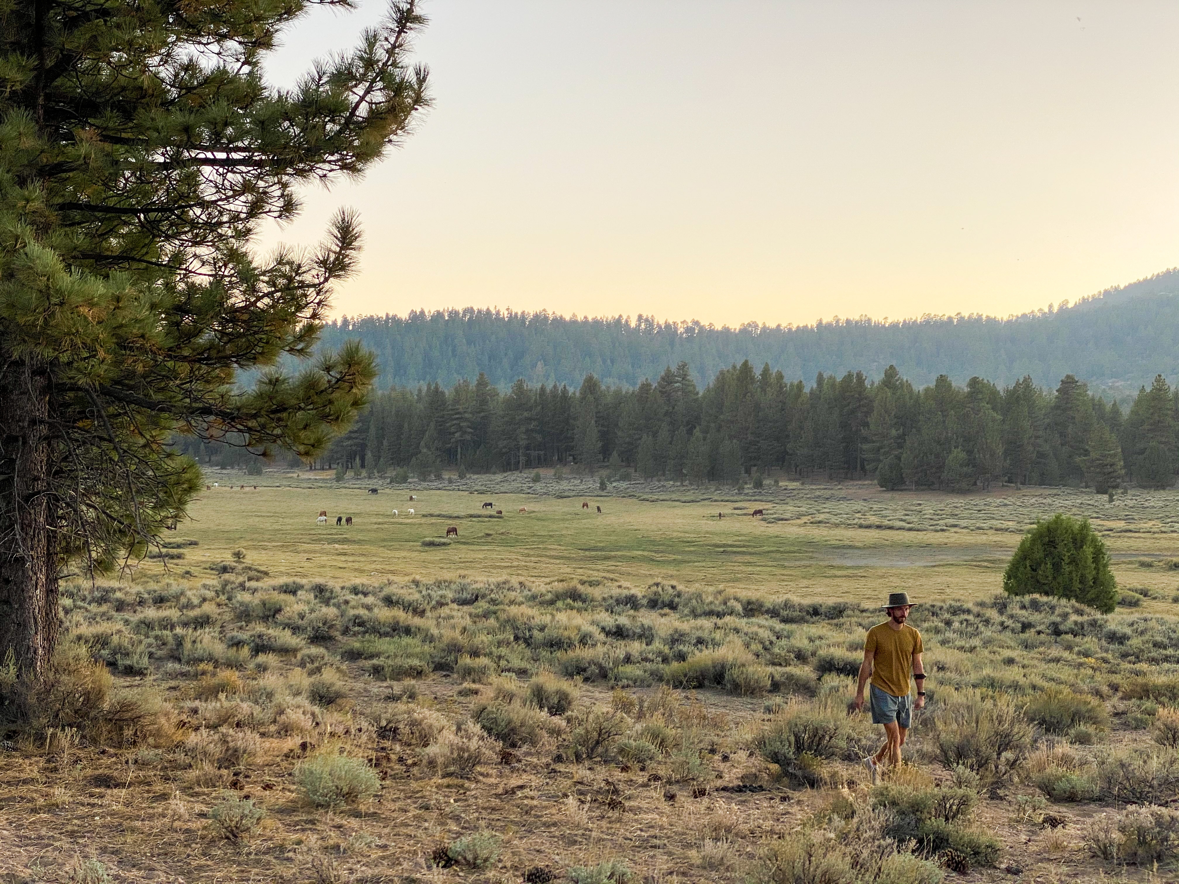 Holcomb Valley Ranch