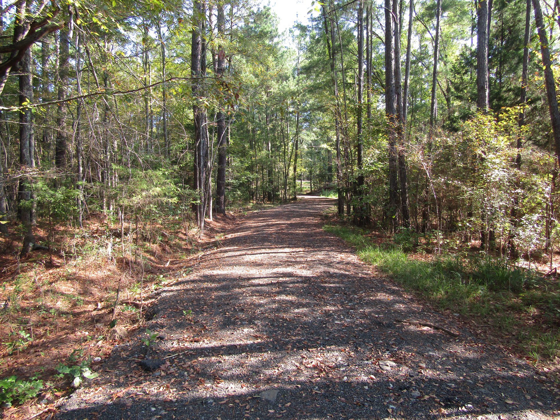 Lake Thurmond RV Park