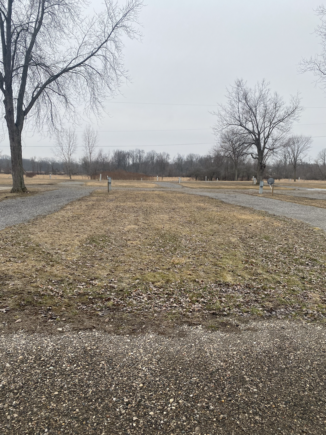 Michigan Trapshooting Association