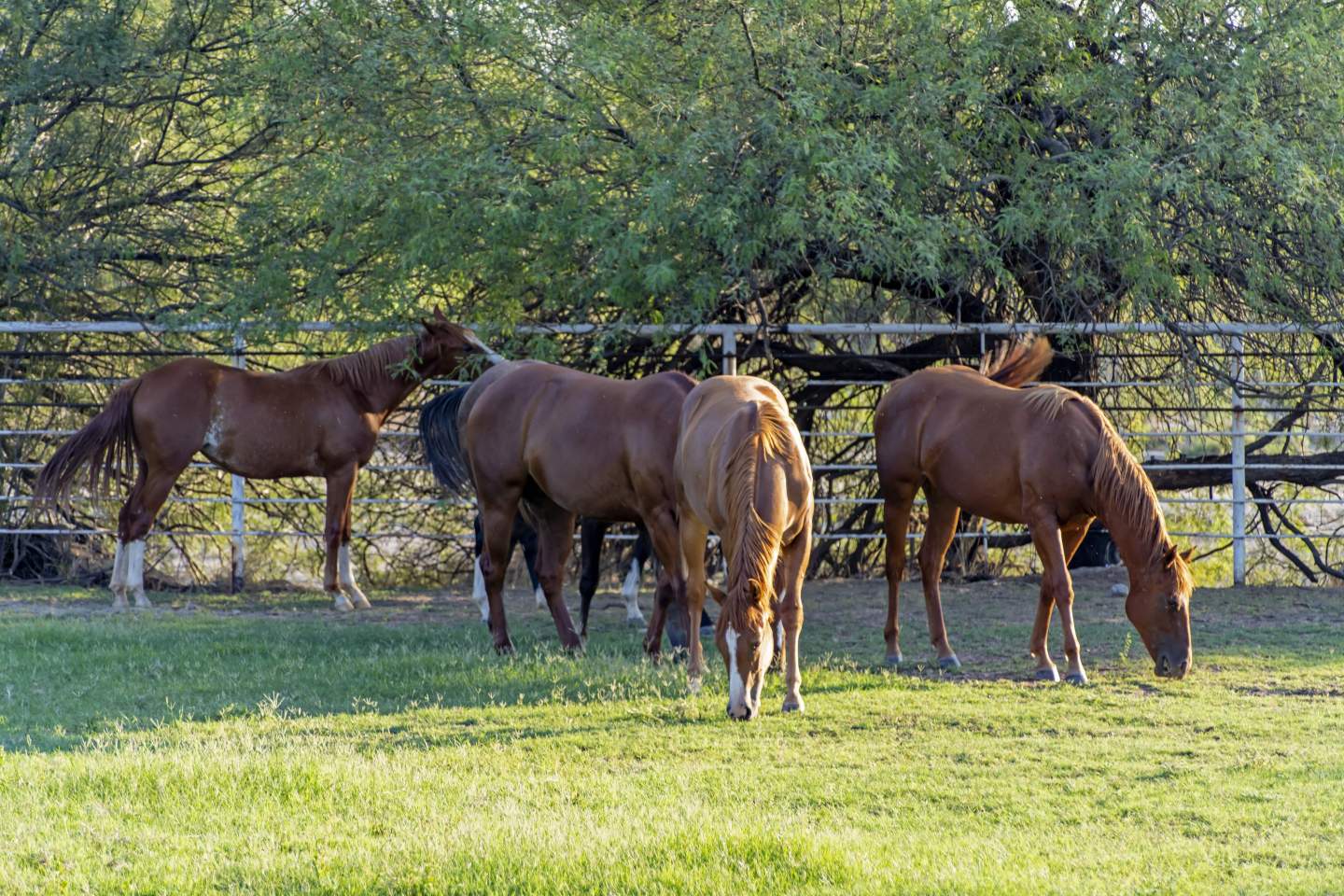 Aztec Village RV Resort