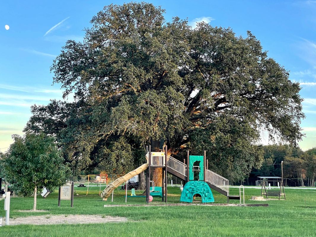 Rolling by the Dozen RV Park