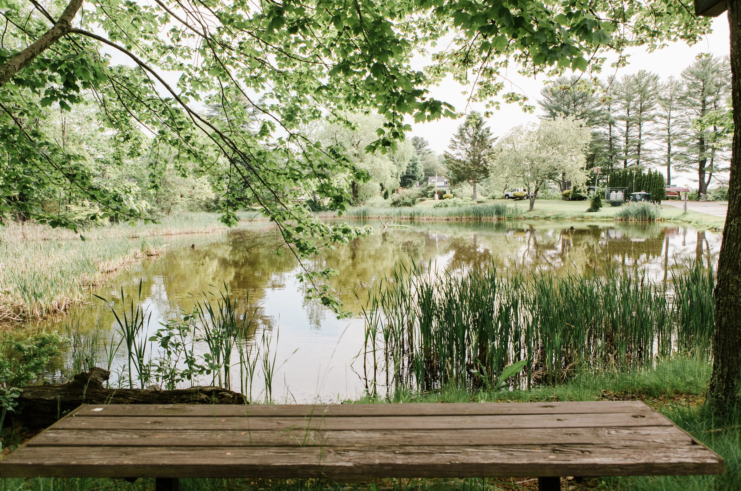 Wild Duck Adult Campground & RV Park