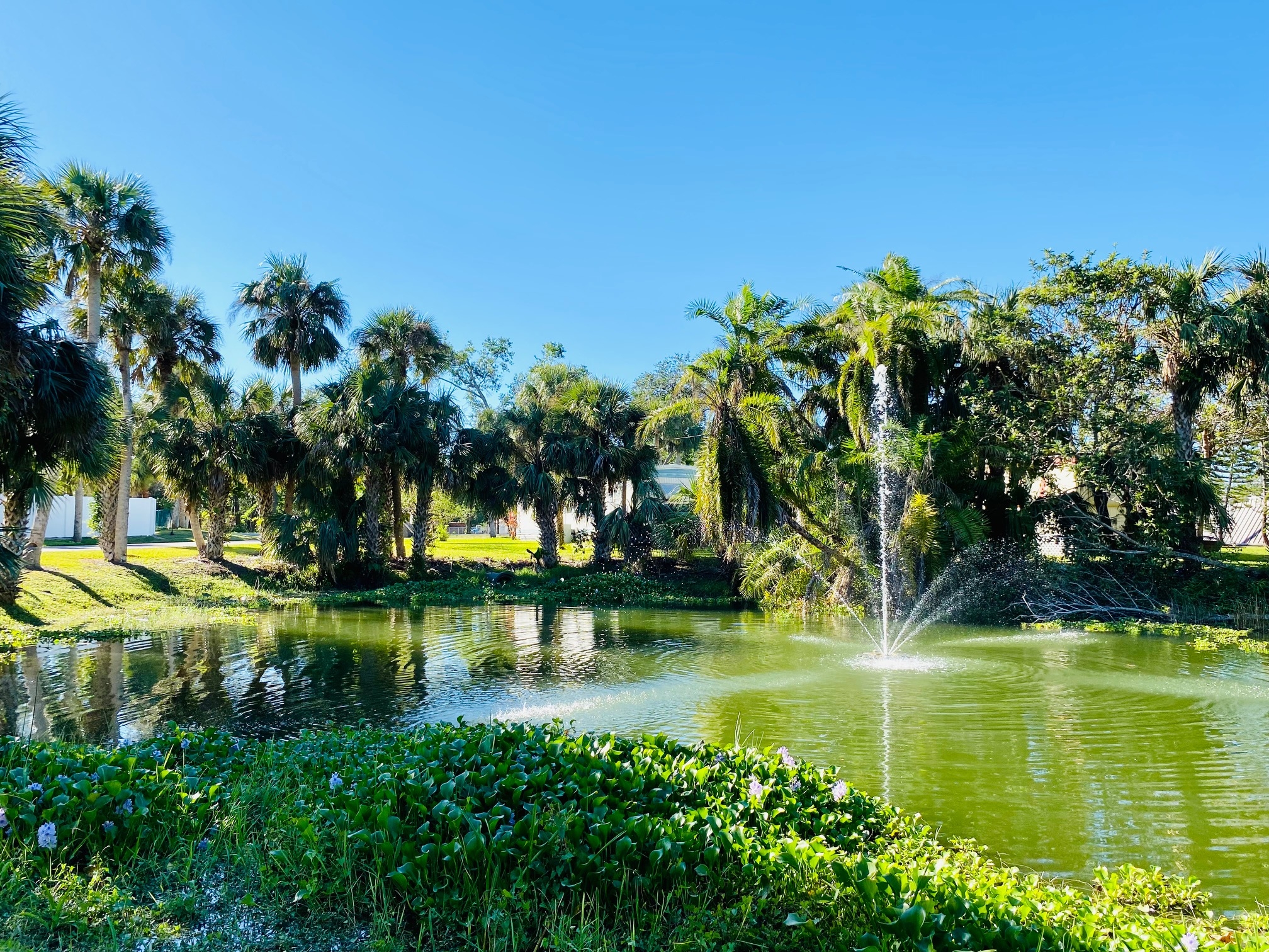 Julia Mobile Home RV Park (Age Restricted 55+)