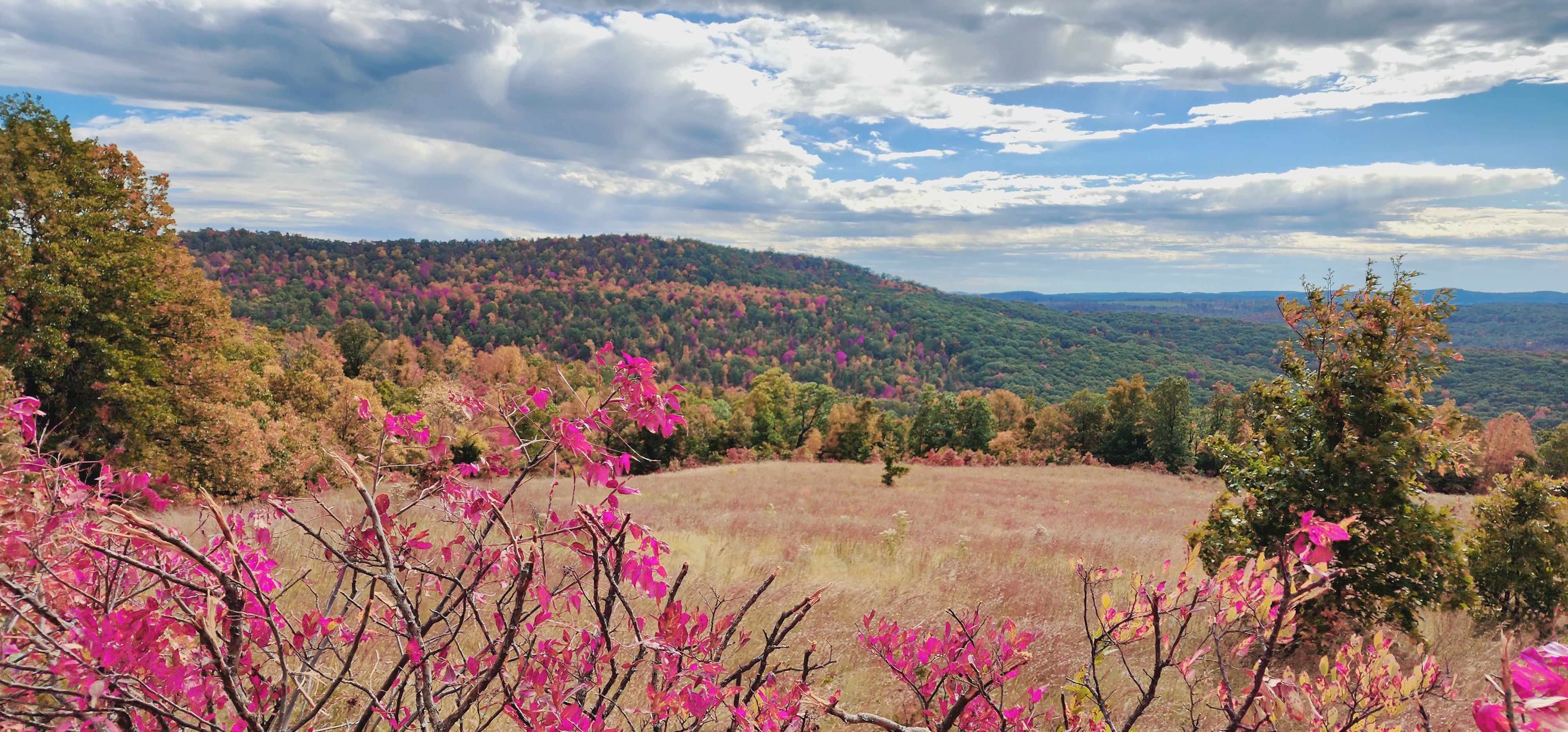 Kecks Creek Crossing, Witter, Arkansas
