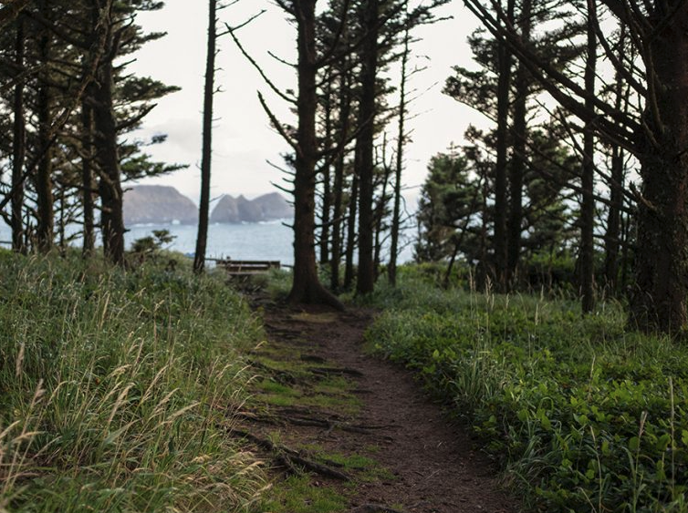 Tillamook Coast RV Park