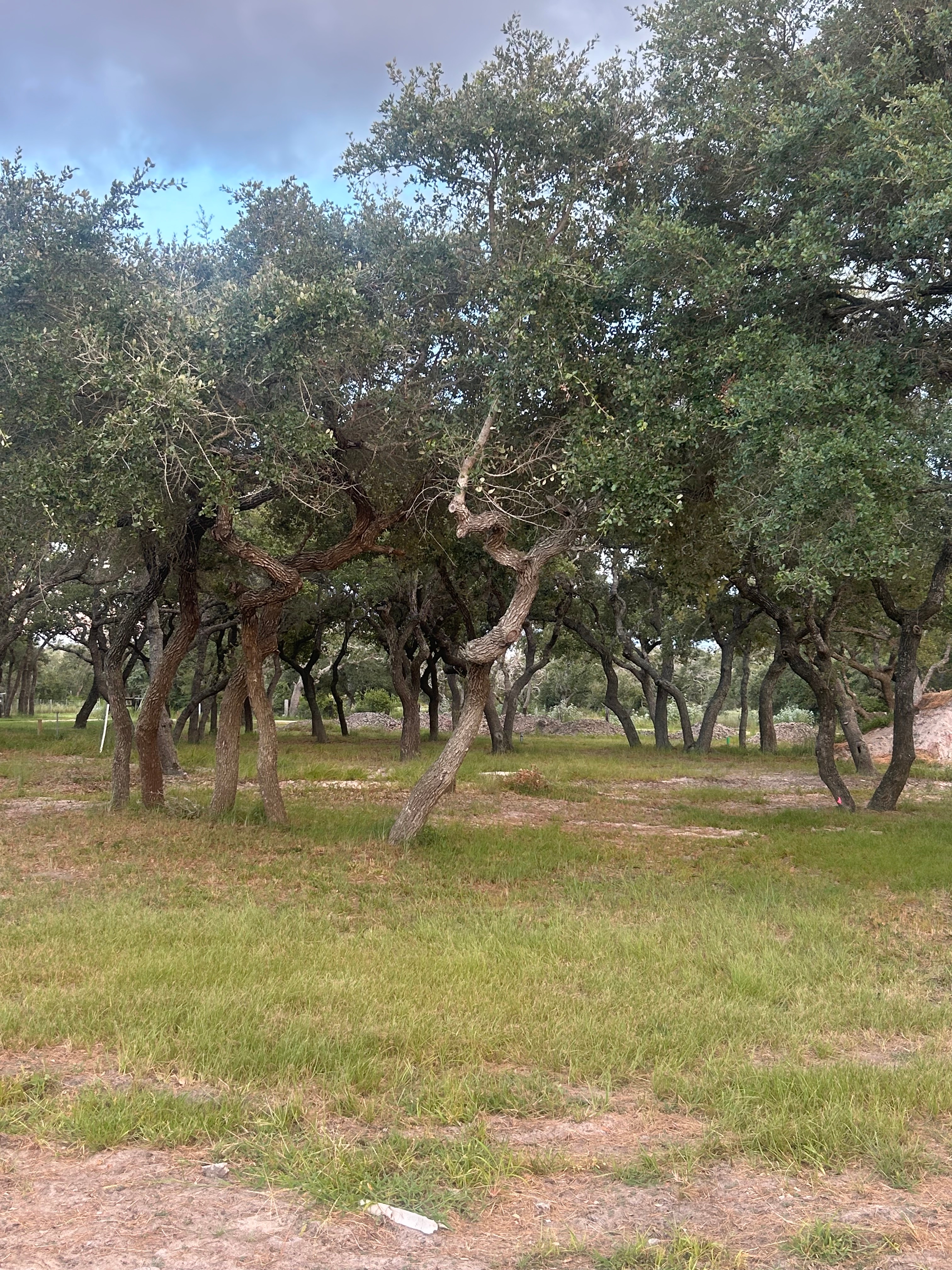Alluring Oaks RV Park, Rockport, Texas
