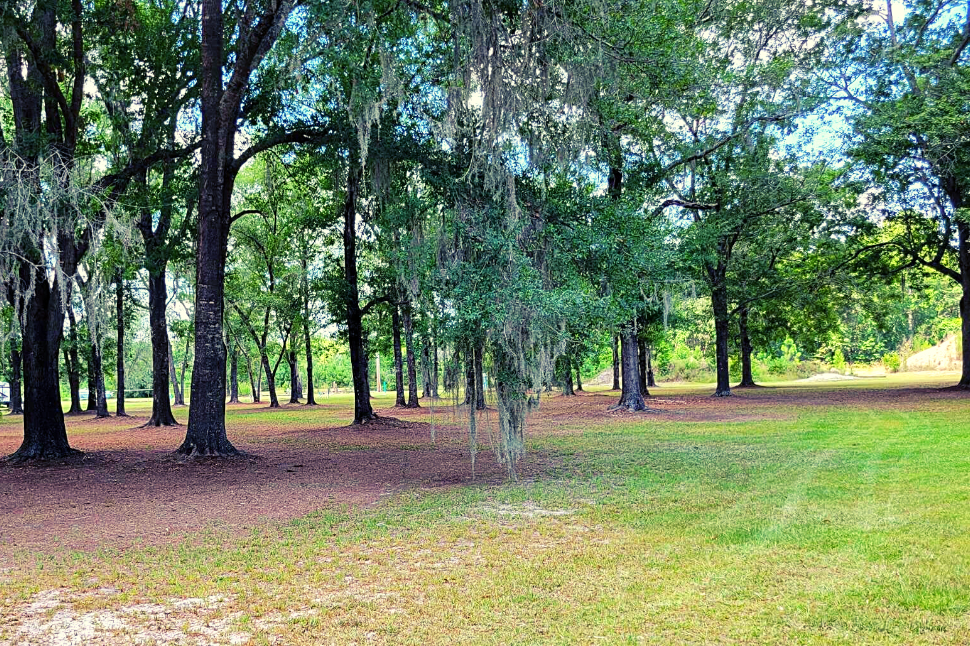 D&R RV Park & Equine Training Center