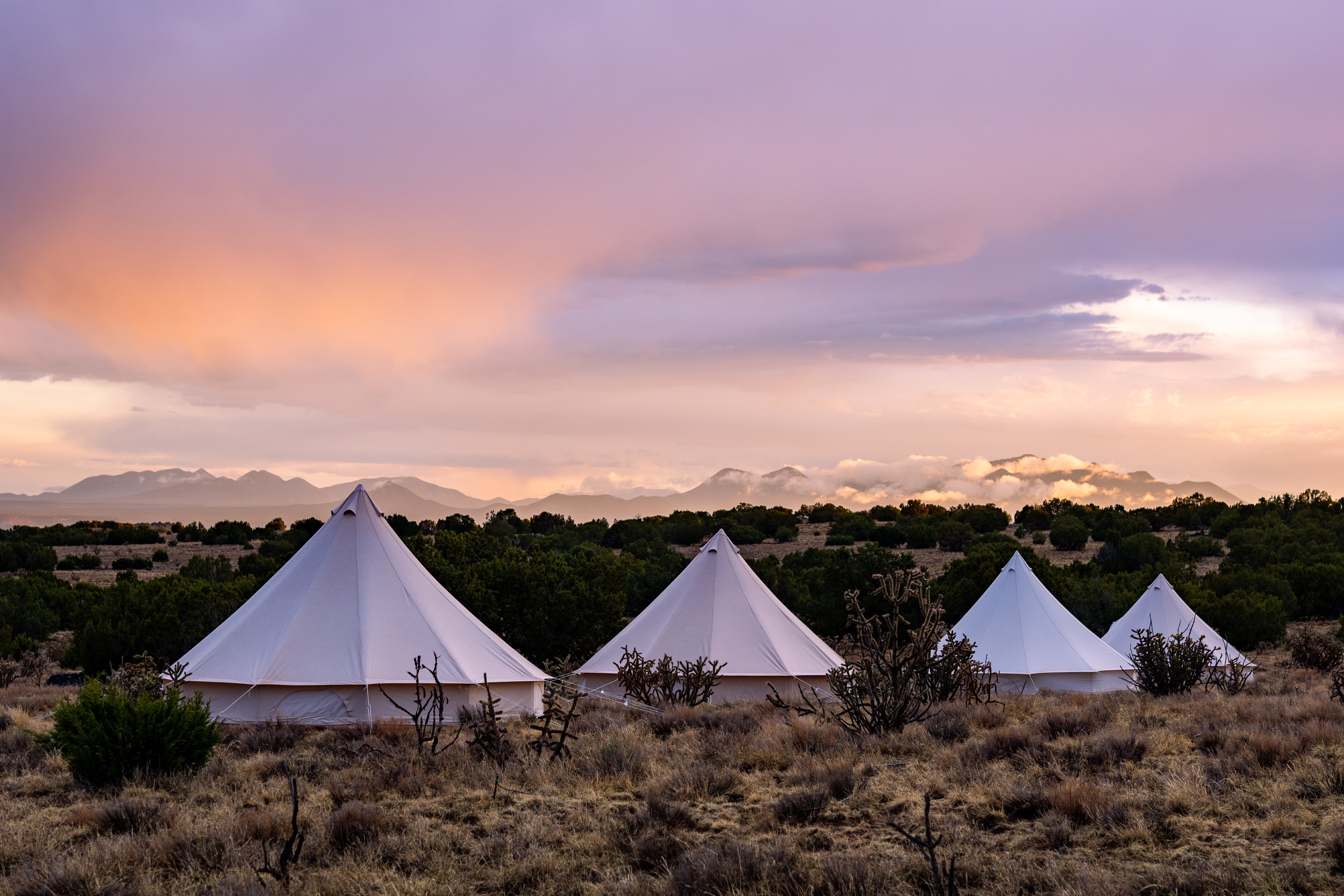 KitFox, Lamy, New Mexico