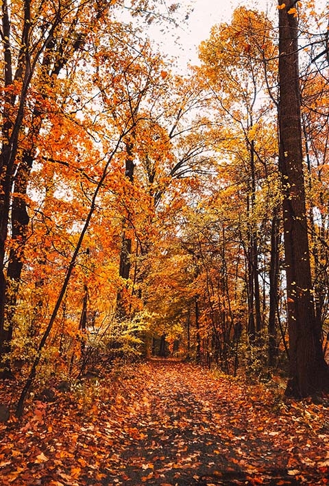 Ogeechee Crossing Park, Louisville, Georgia