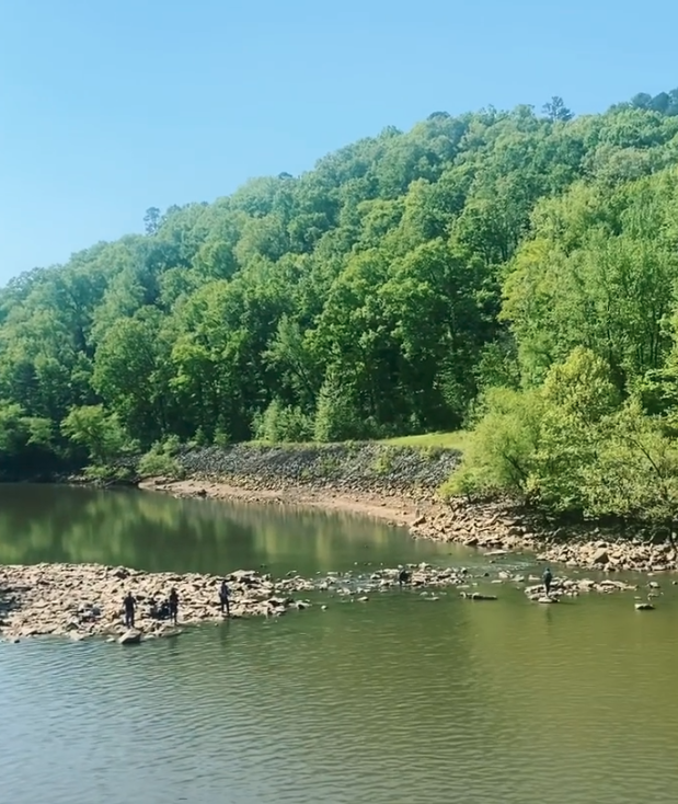 The Weekender Cabins and RV Retreat